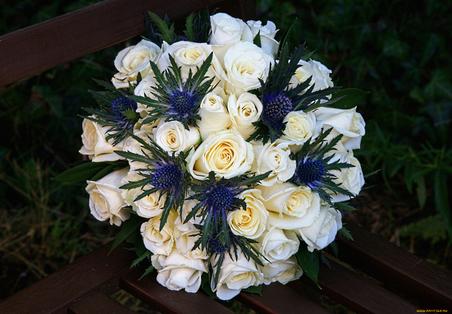 цветы, букеты, композиции, колючки, розы