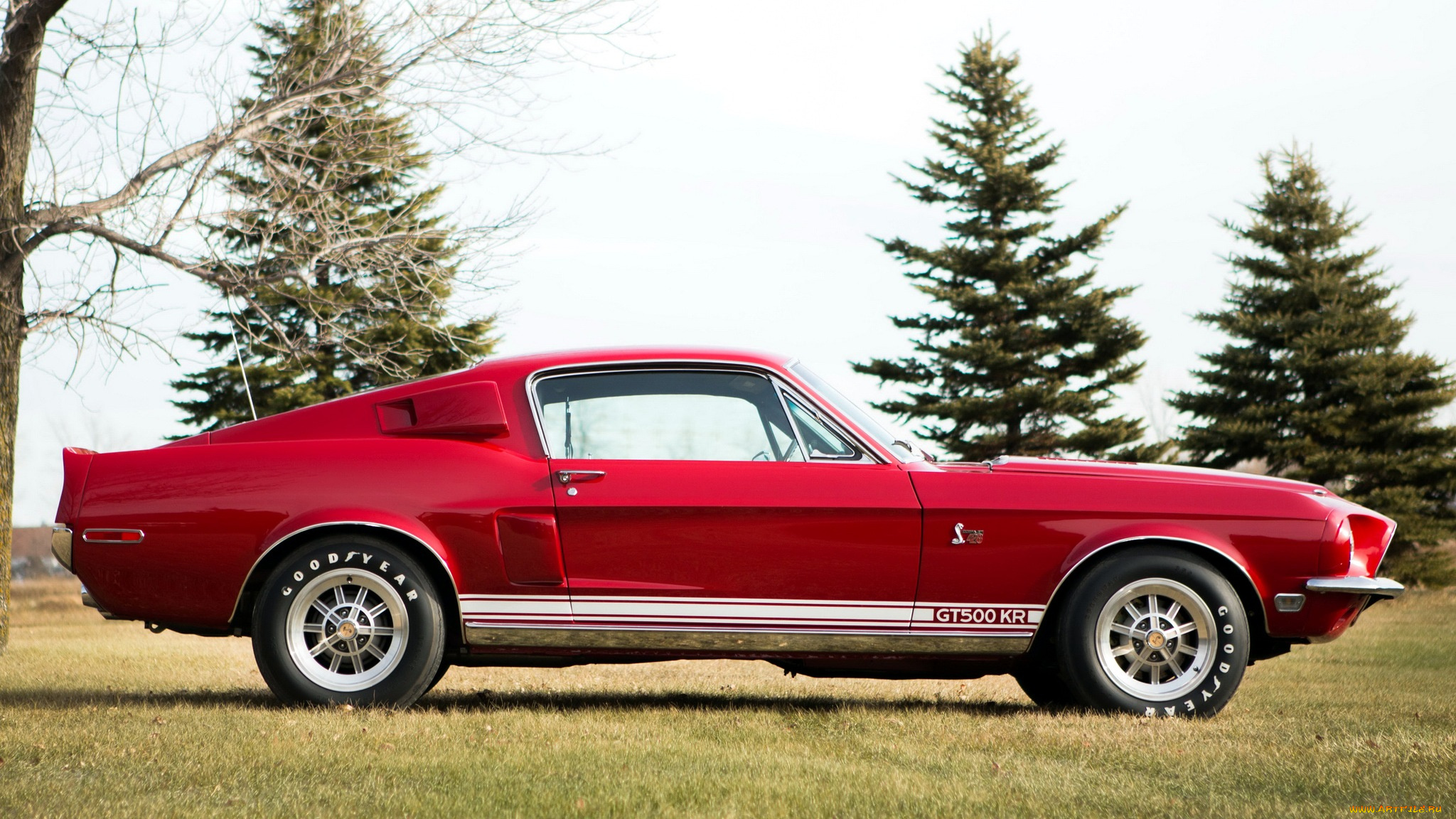 mustang, автомобили, сша, ford, motor, company