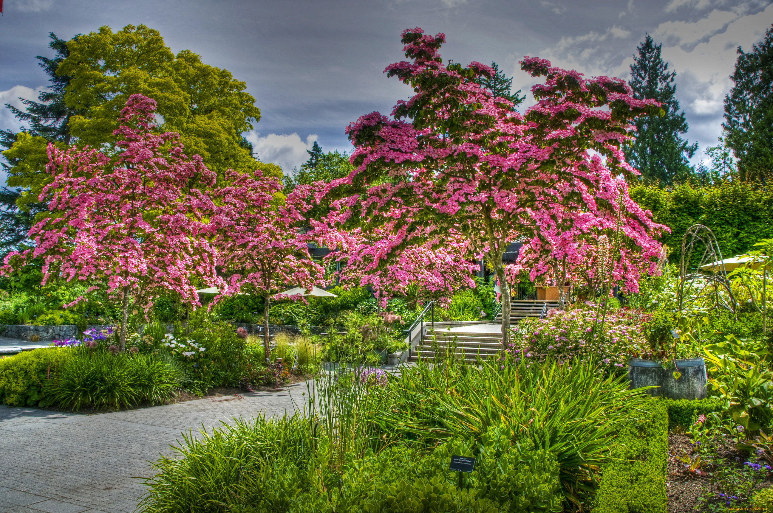 vandusen, botanical, garden, vancouver, канада, природа, парк, растения, сад