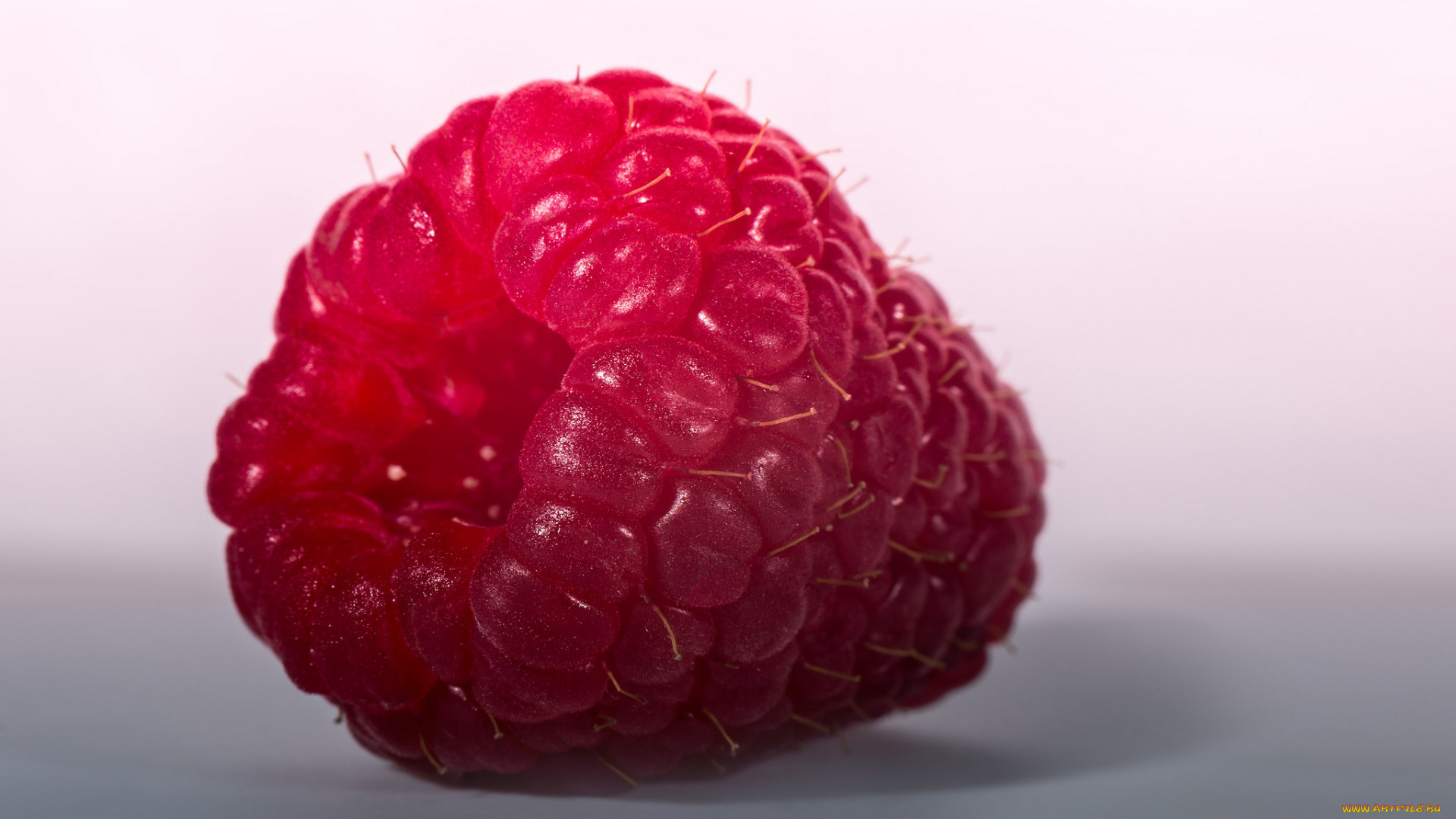 еда, малина