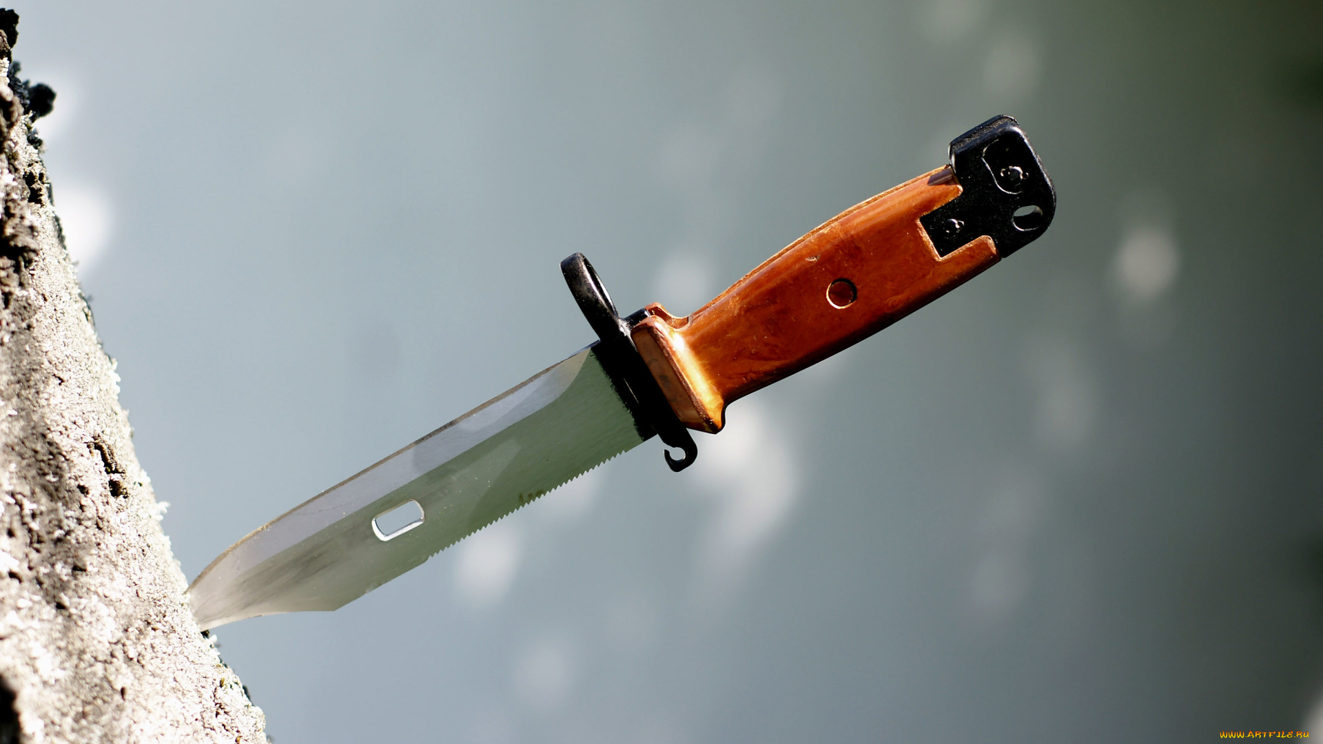 оружие, холодное, оружие, штык-нож