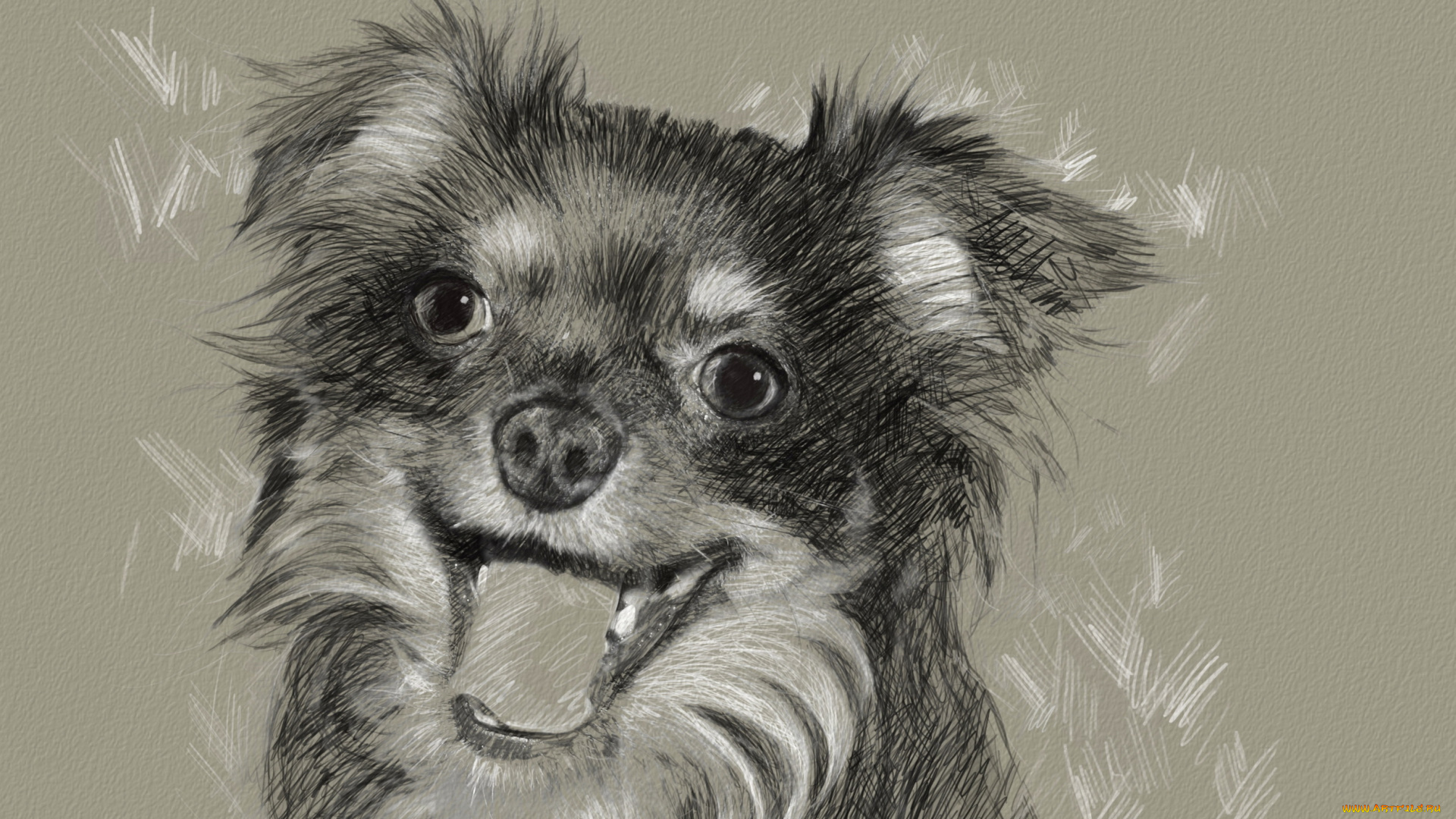 рисованные, животные, собака