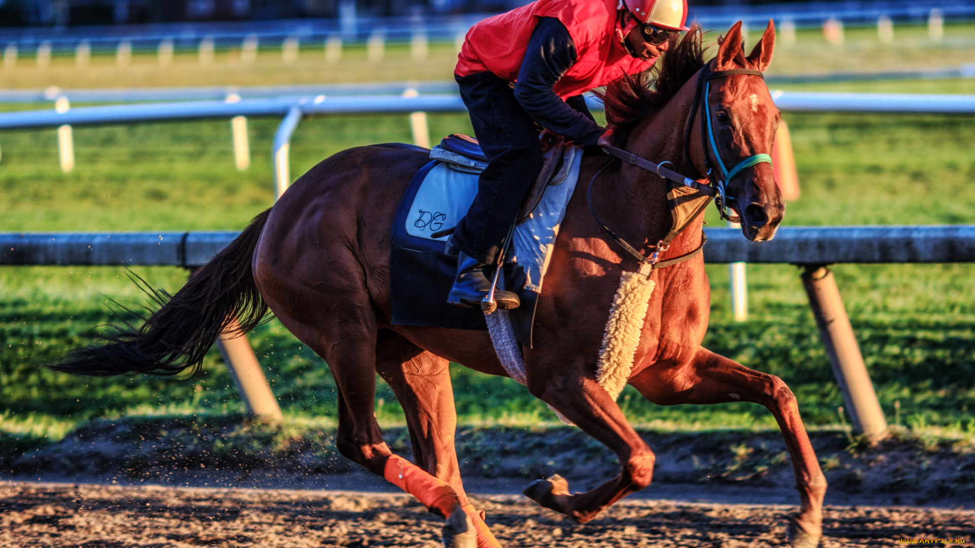 спорт, конный, спорт, ипподром, забег