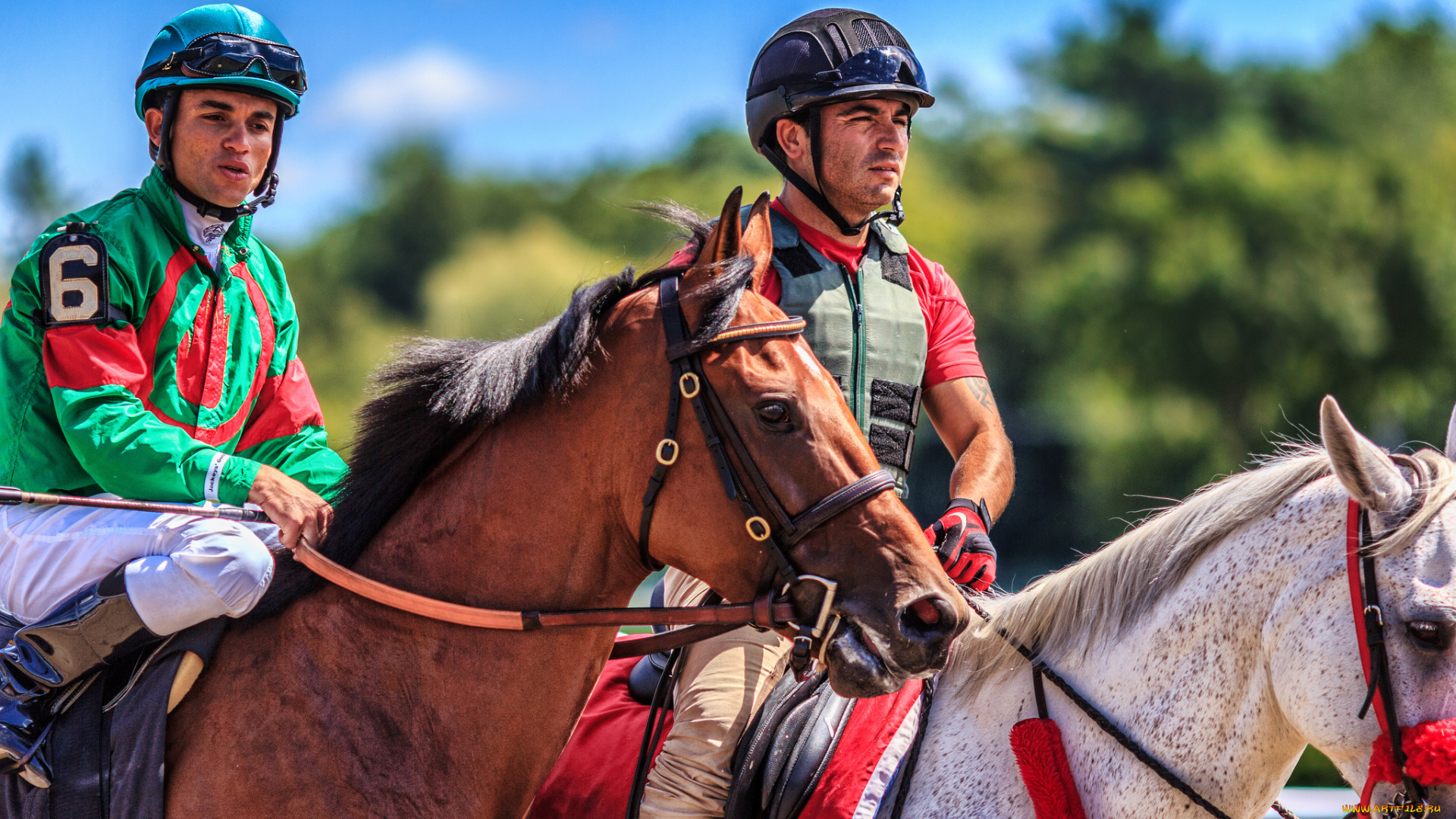 спорт, конный, спорт, лошади, жокеи