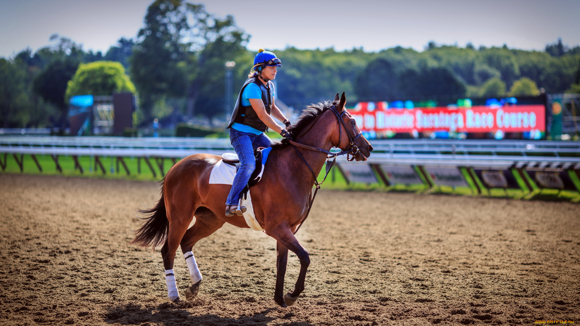 спорт, конный, спорт, наездник, конь, иппордом