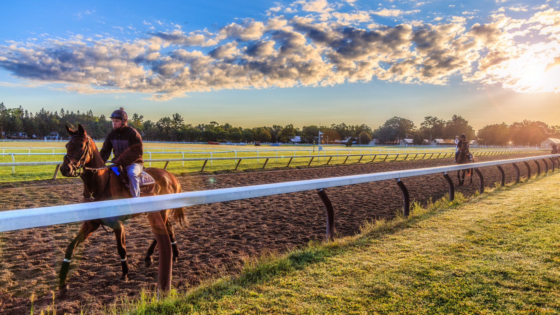 спорт, конный, спорт, забег, ипподром