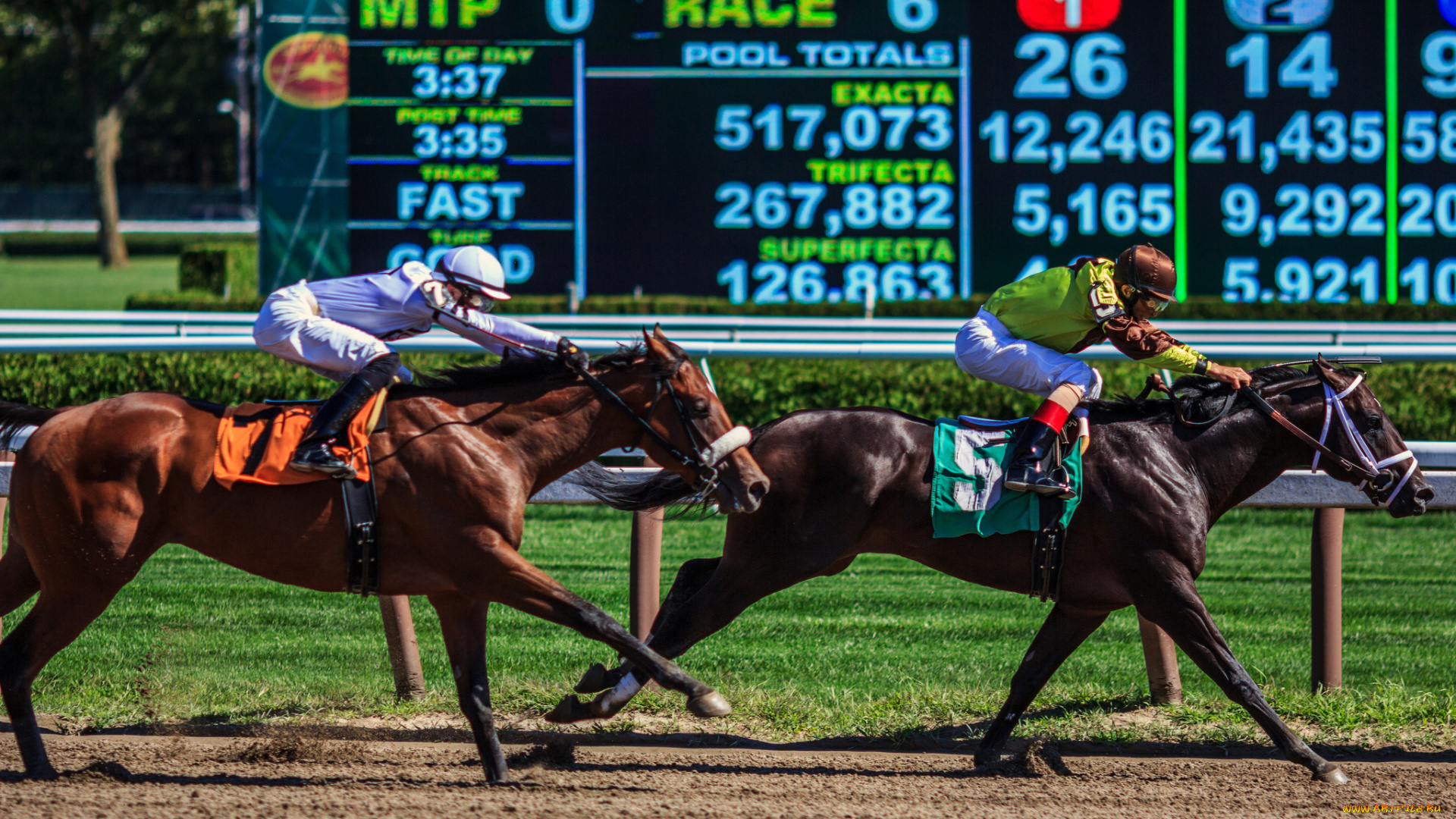 спорт, конный, спорт, забег, ипподром, скачки