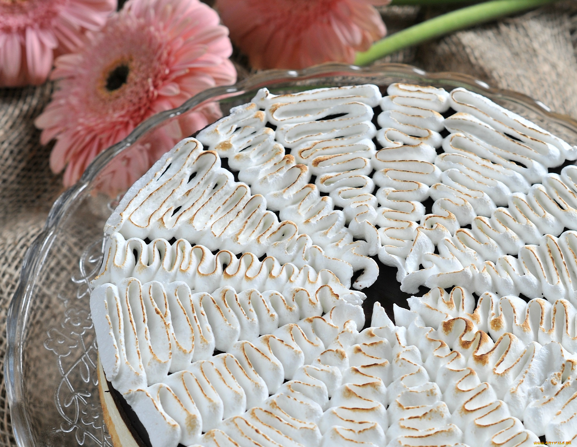 еда, торты, герберы, крем