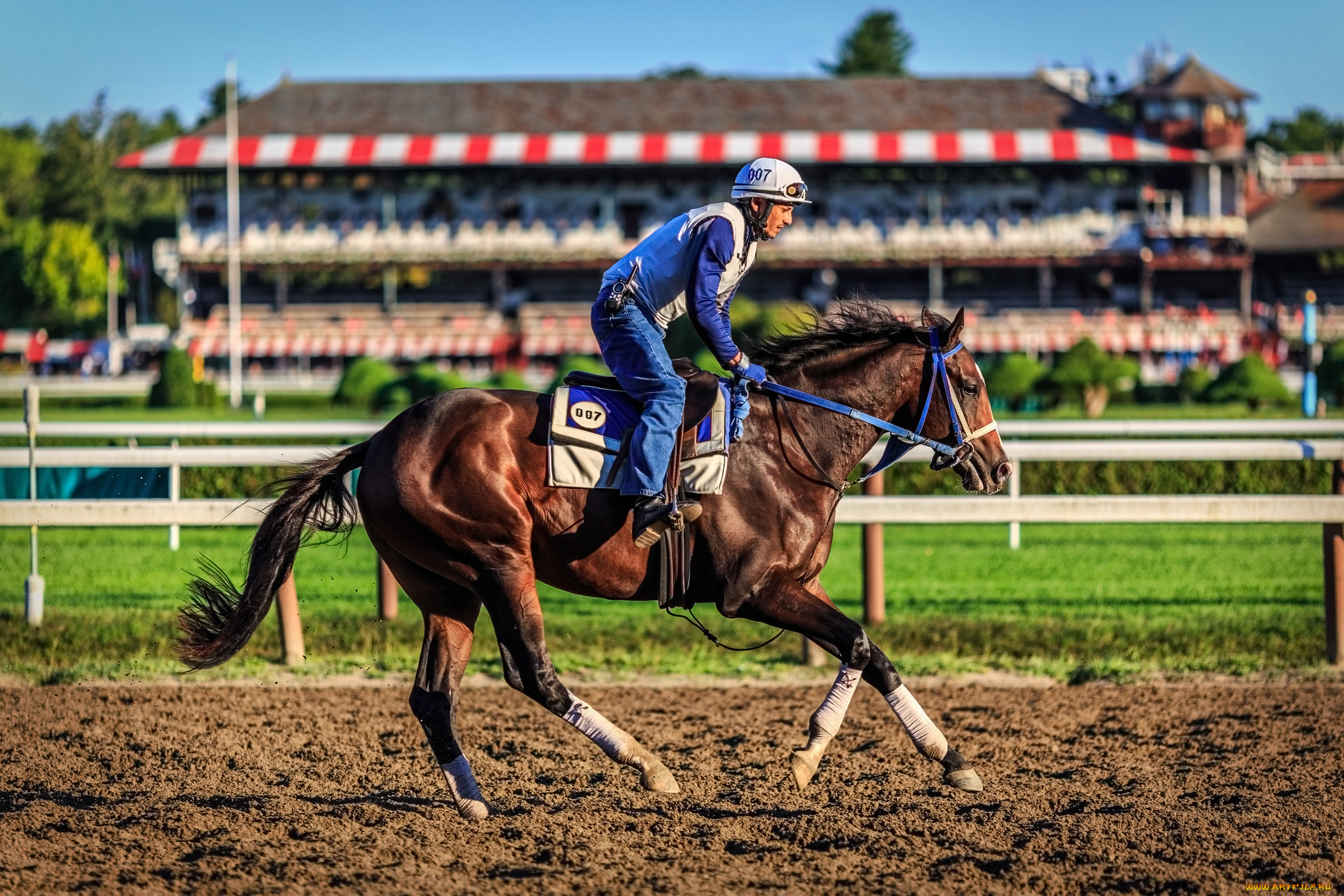 спорт, конный, спорт, ипподром, наездник, лошадь