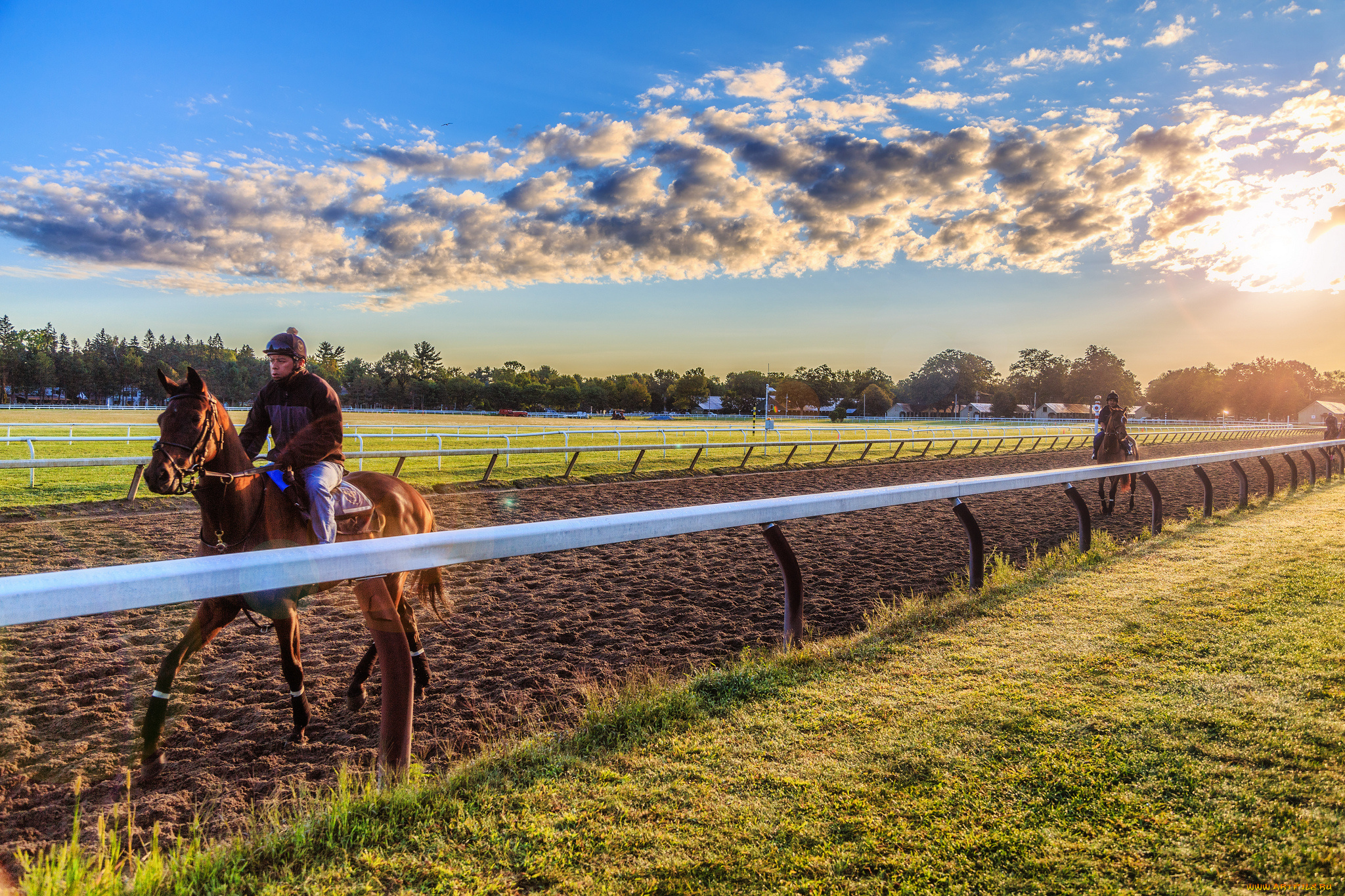 спорт, конный, спорт, забег, ипподром