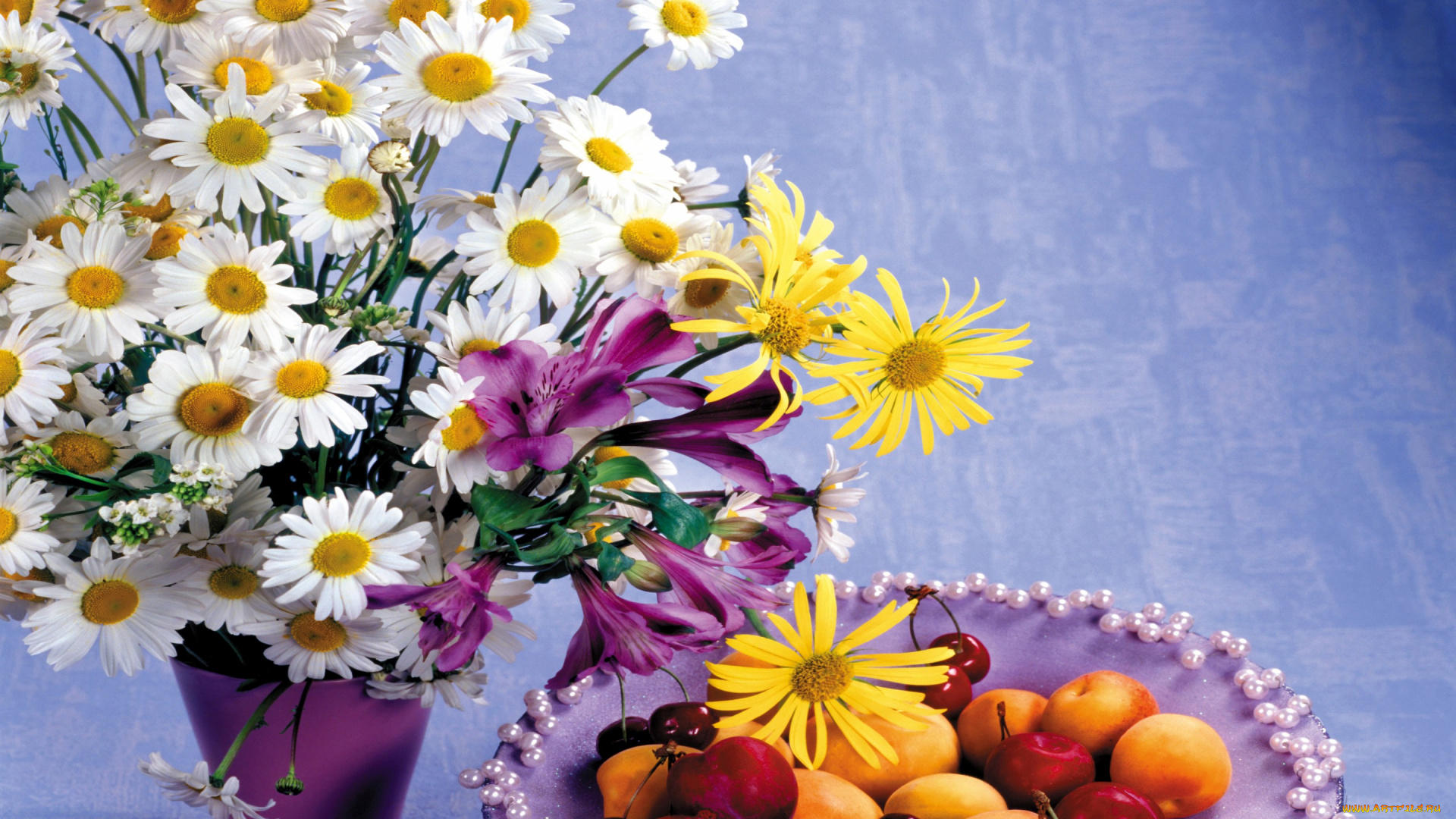 цветы, букеты, , композиции, ромашки, тарелка, букет