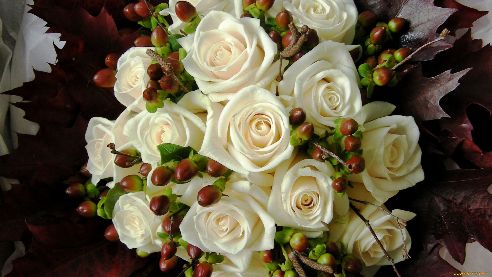 цветы, букеты, , композиции, розы, фото, белый, букет