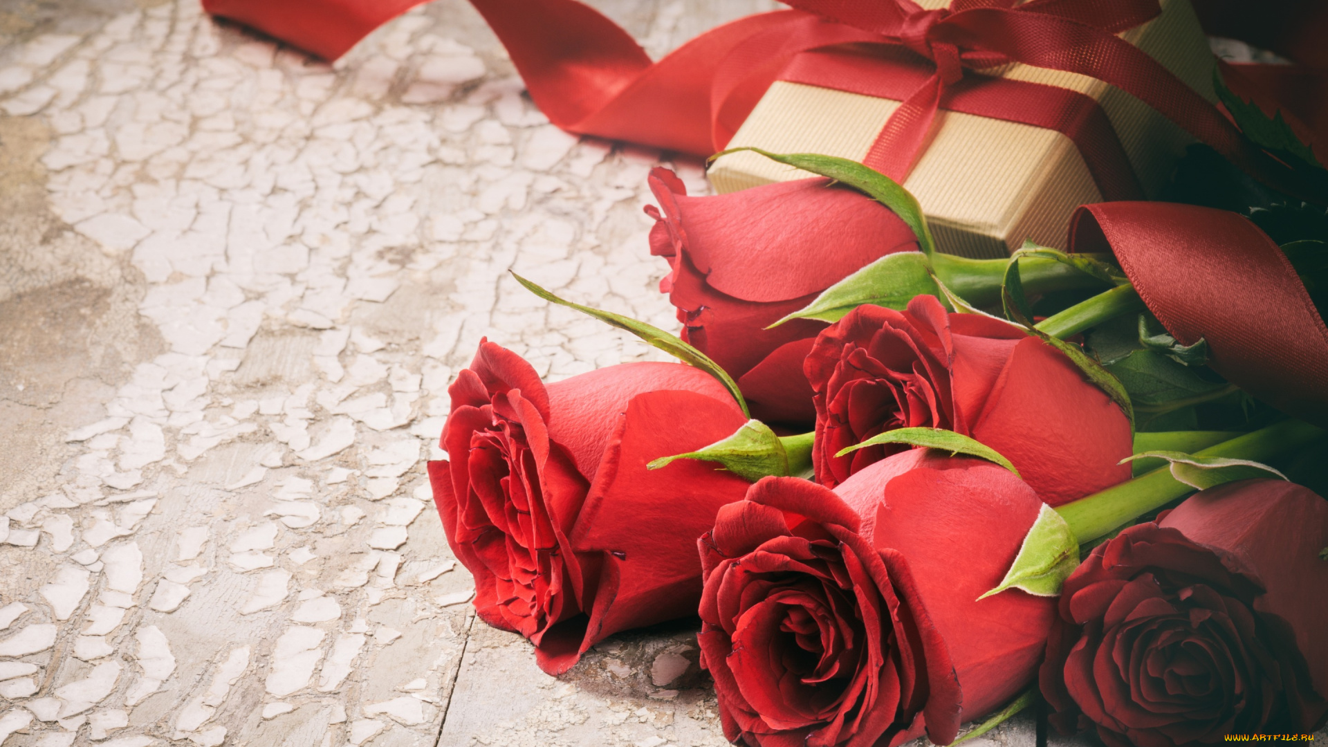 цветы, розы, лепестки