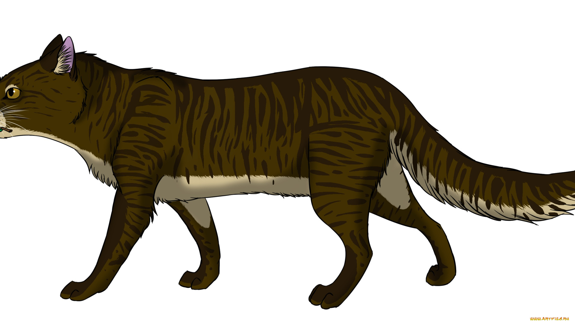 рисованное, животные, , коты, фон, кот