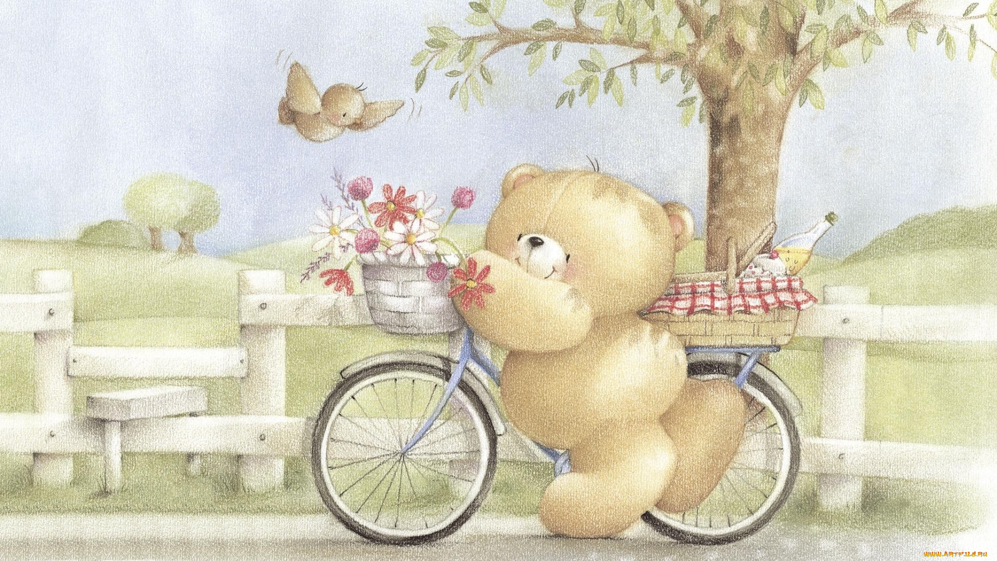 рисованное, мишки, тэдди, цветы, велосипед, птичка, медвежонок