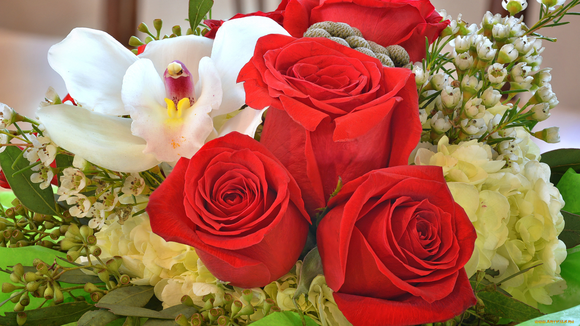 цветы, букеты, , композиции, букет