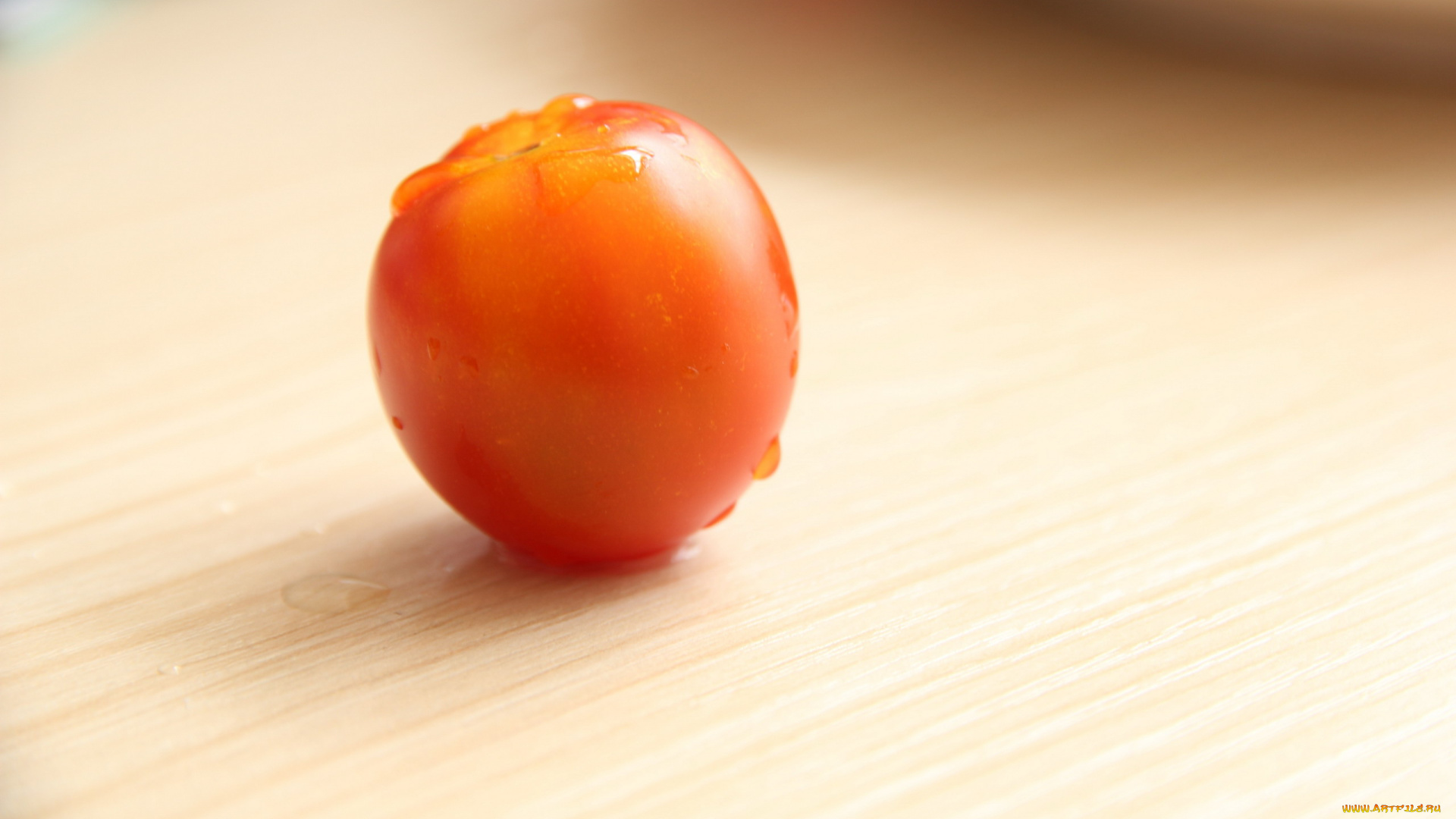 еда, помидоры, одиночка