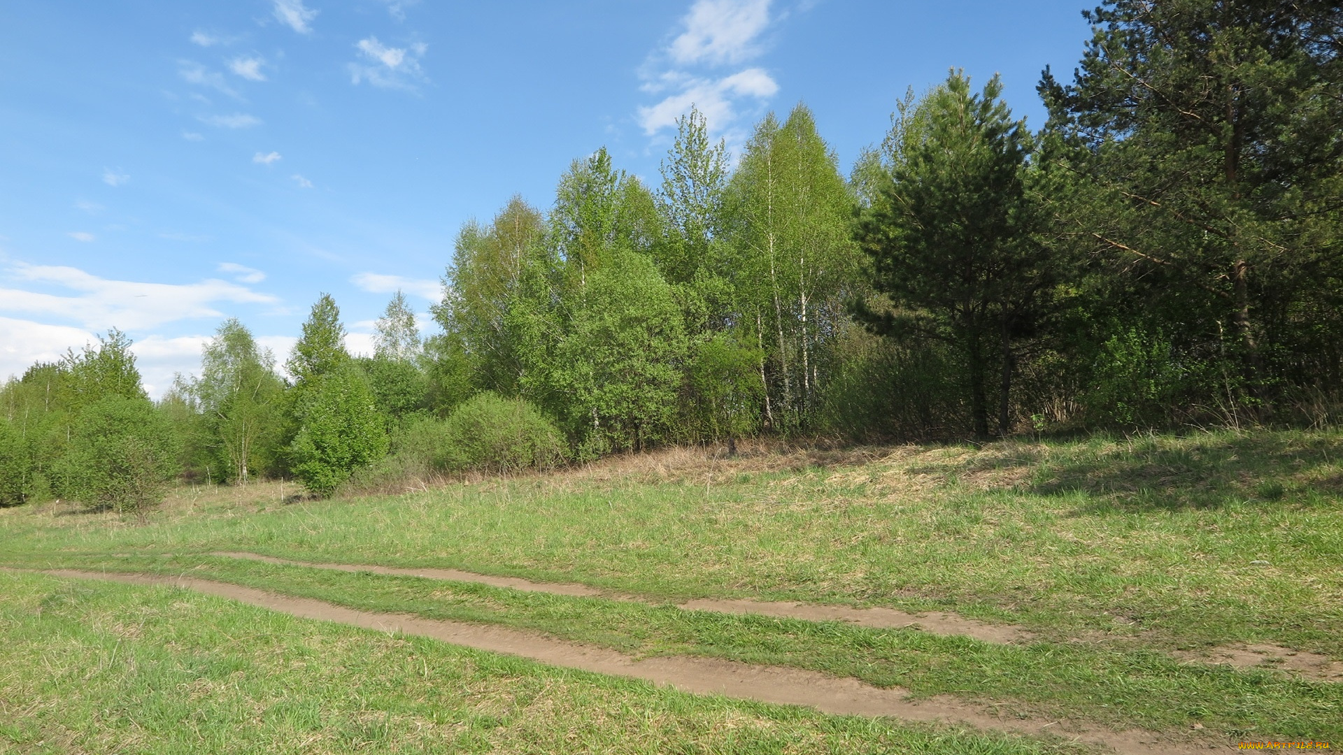 природа, дороги, деревья, луг