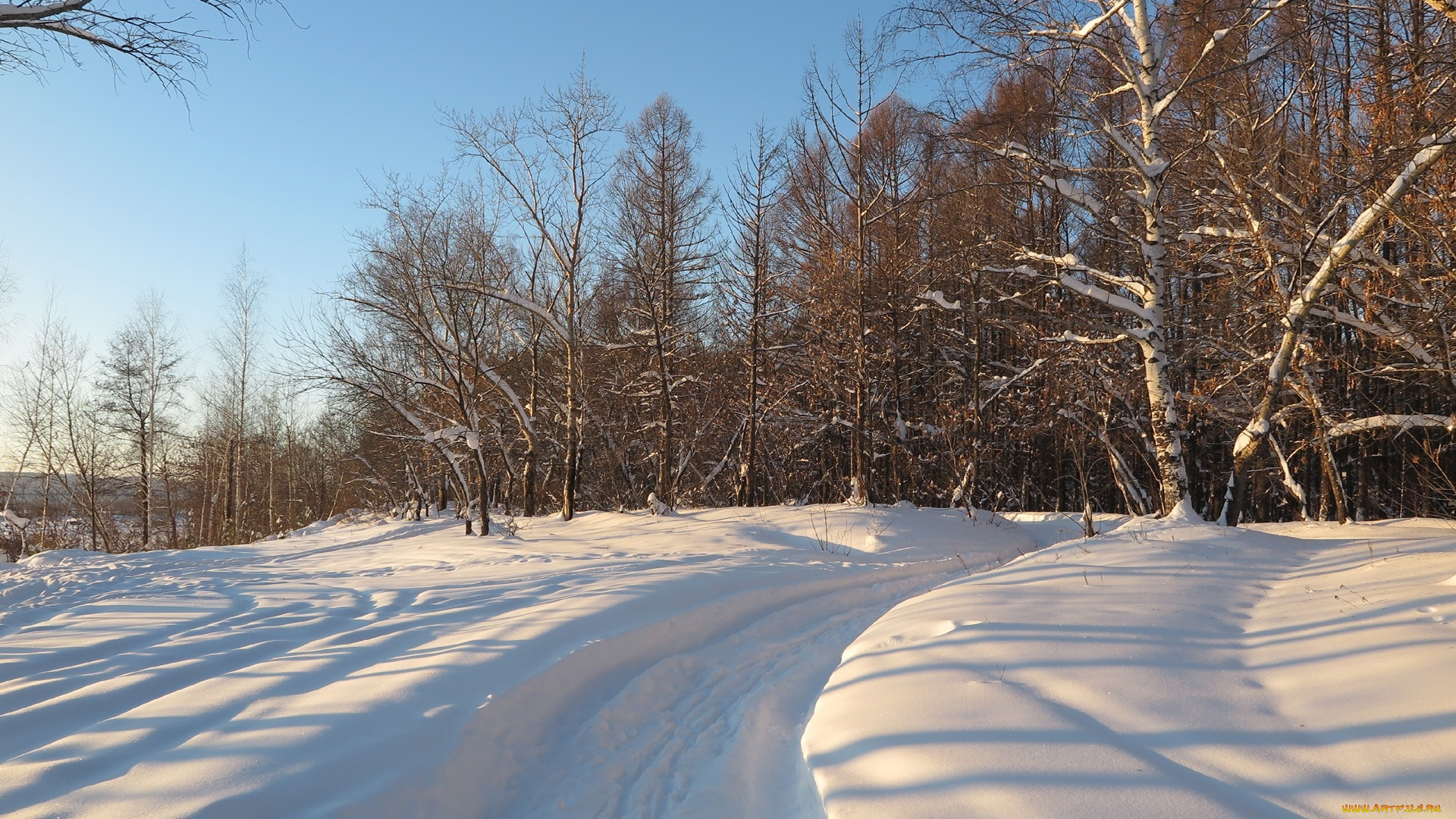природа, дороги, дорога, деревья, снег