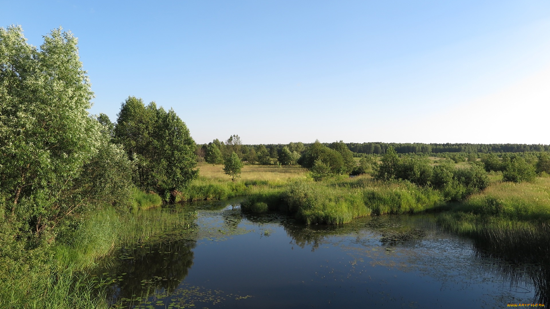 природа, пейзажи, лес, река