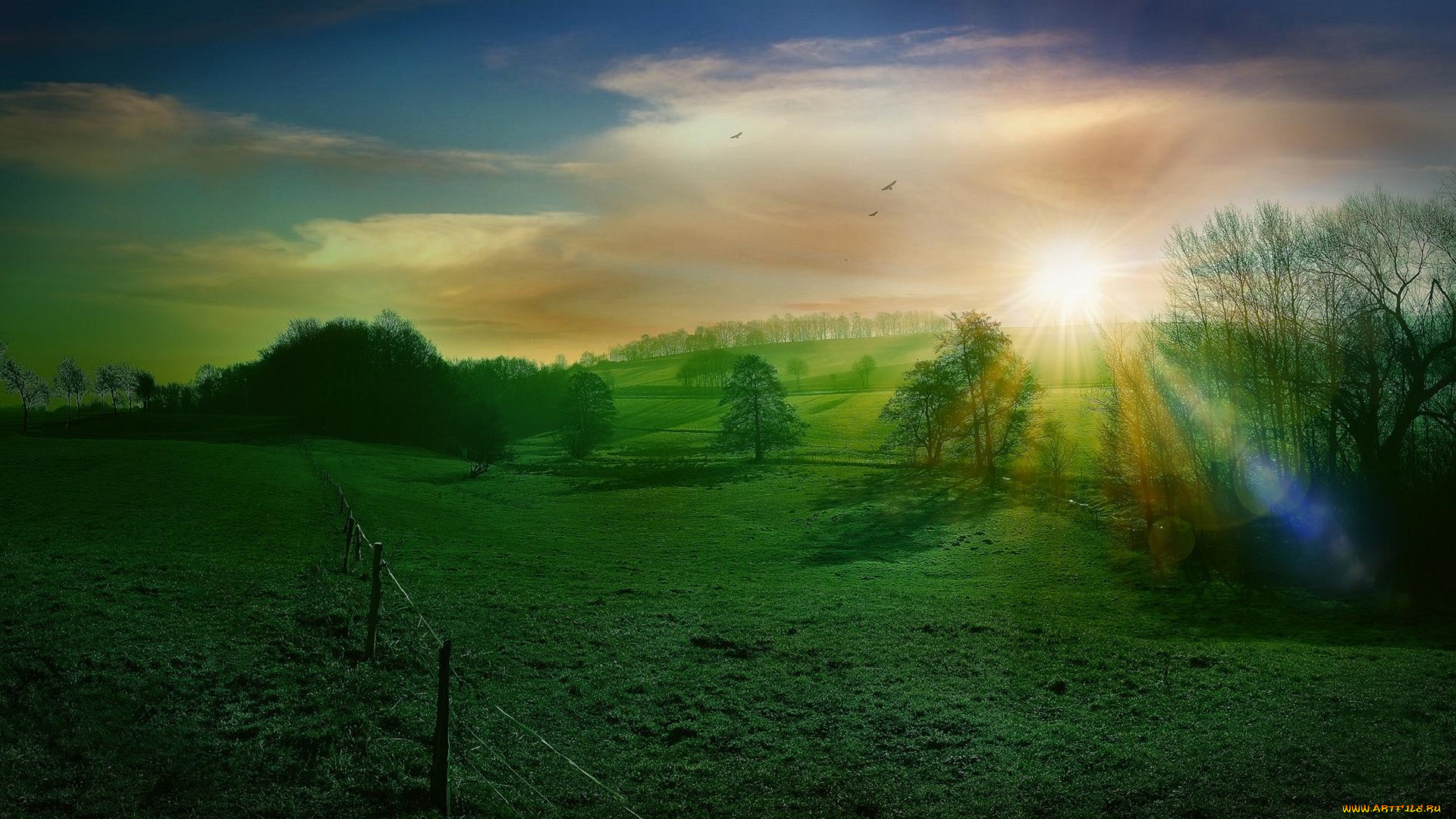 природа, поля, деревья, холмы, поле, закат, пейзаж