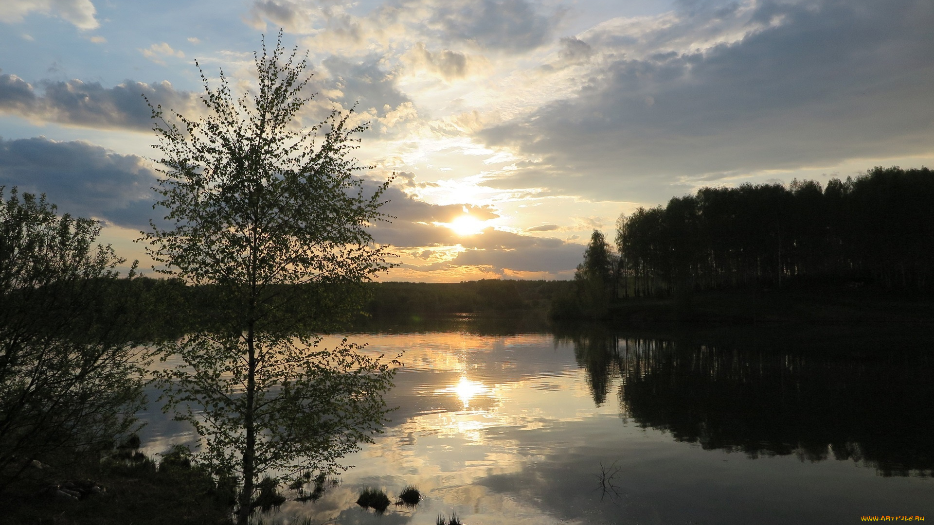 природа, реки, озера, лес, река