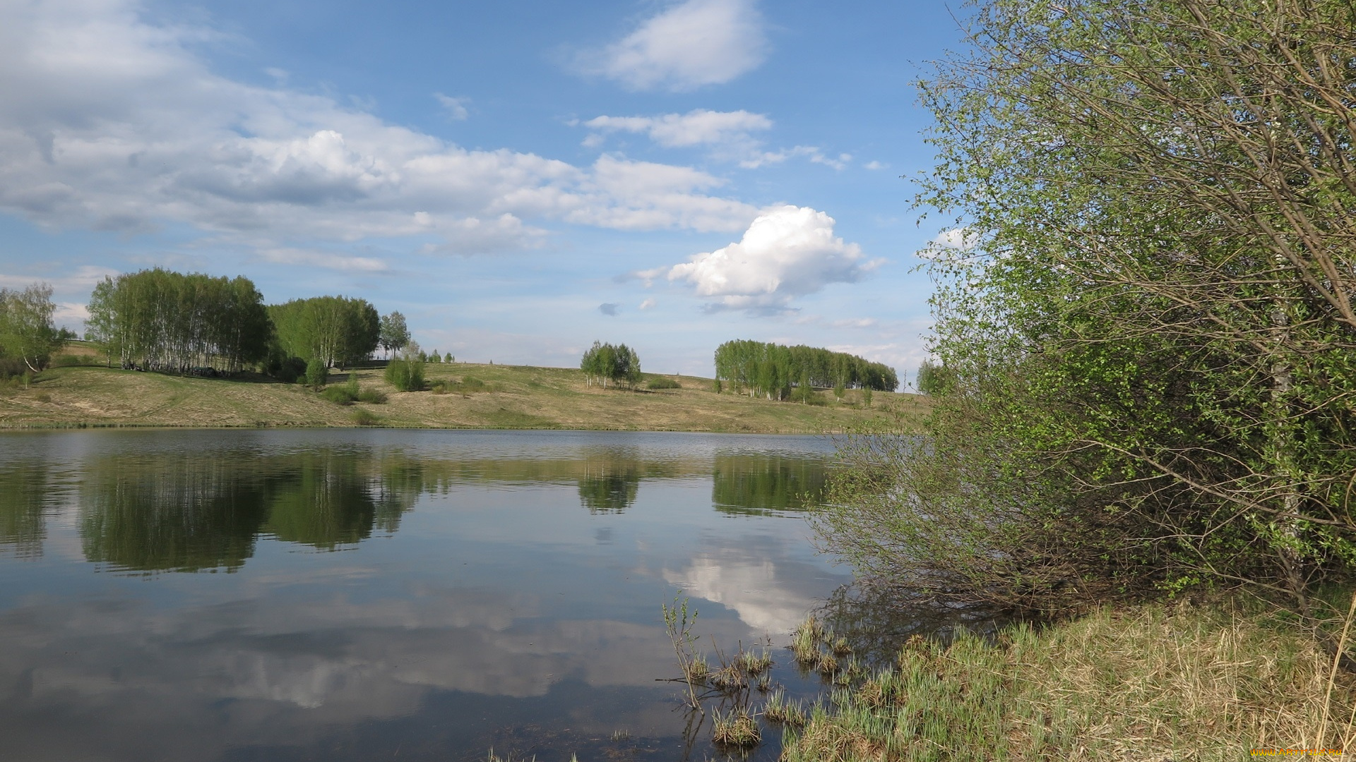 природа, реки, озера, лес, река