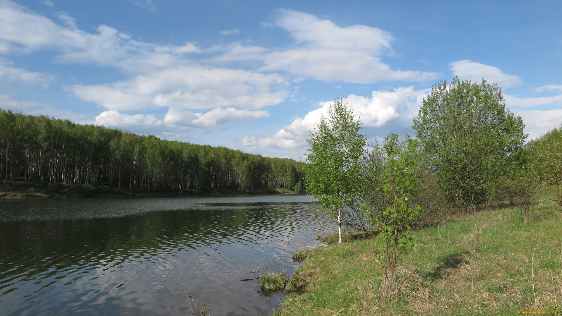 природа, реки, озера, река, лес