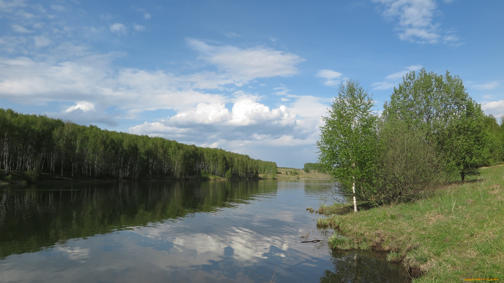 природа, реки, озера, река, лес