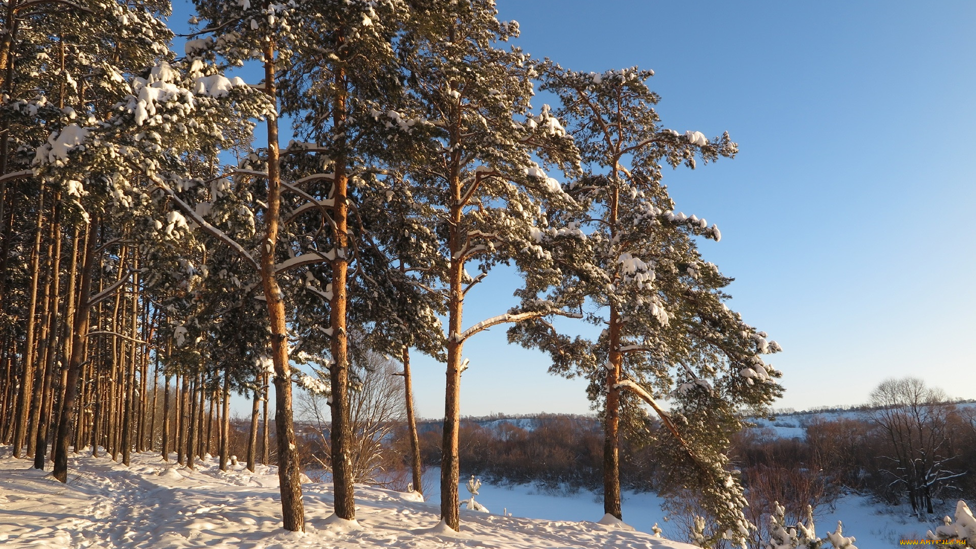 природа, зима, деревья, снег