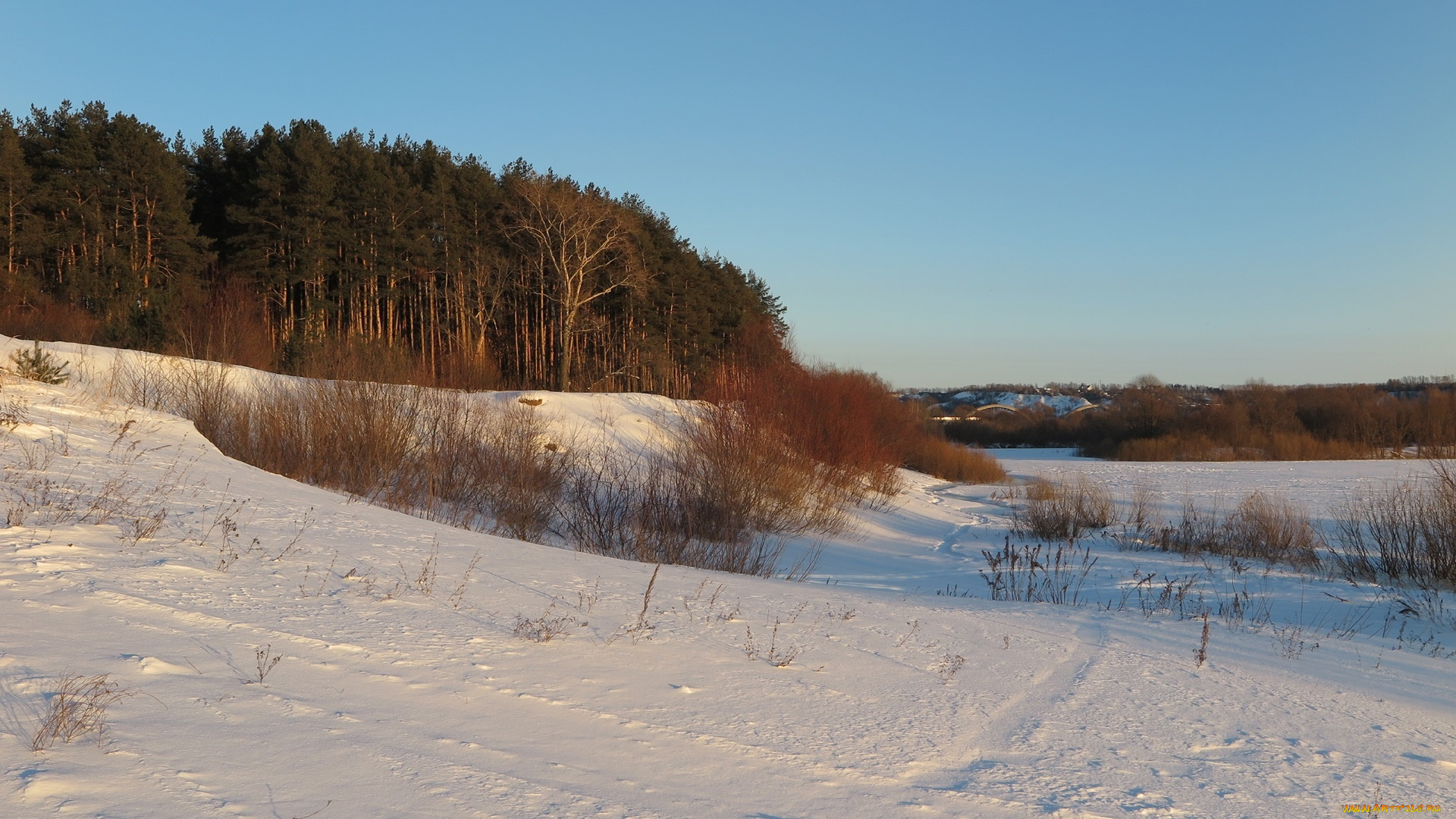 природа, зима, деревья, снег