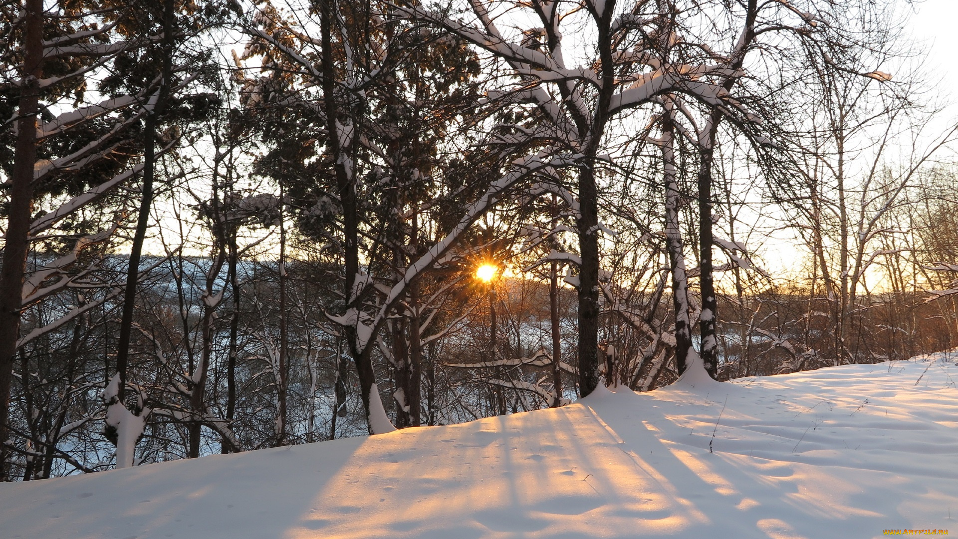природа, зима, лучи, деревья, снег