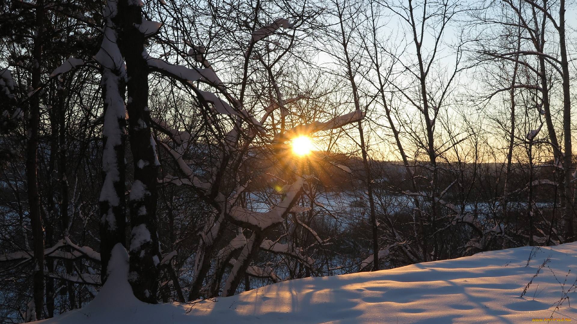 природа, зима, лучи, деревья, снег