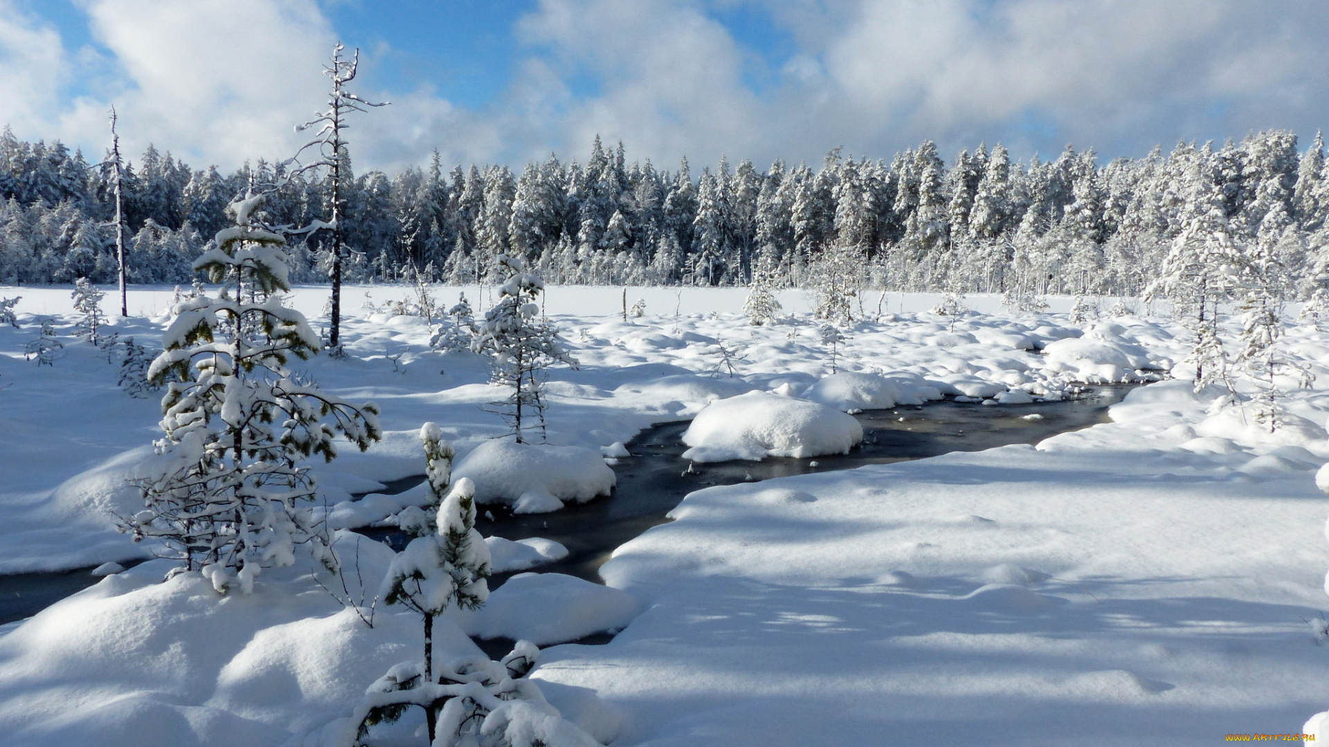 природа, зима, снег