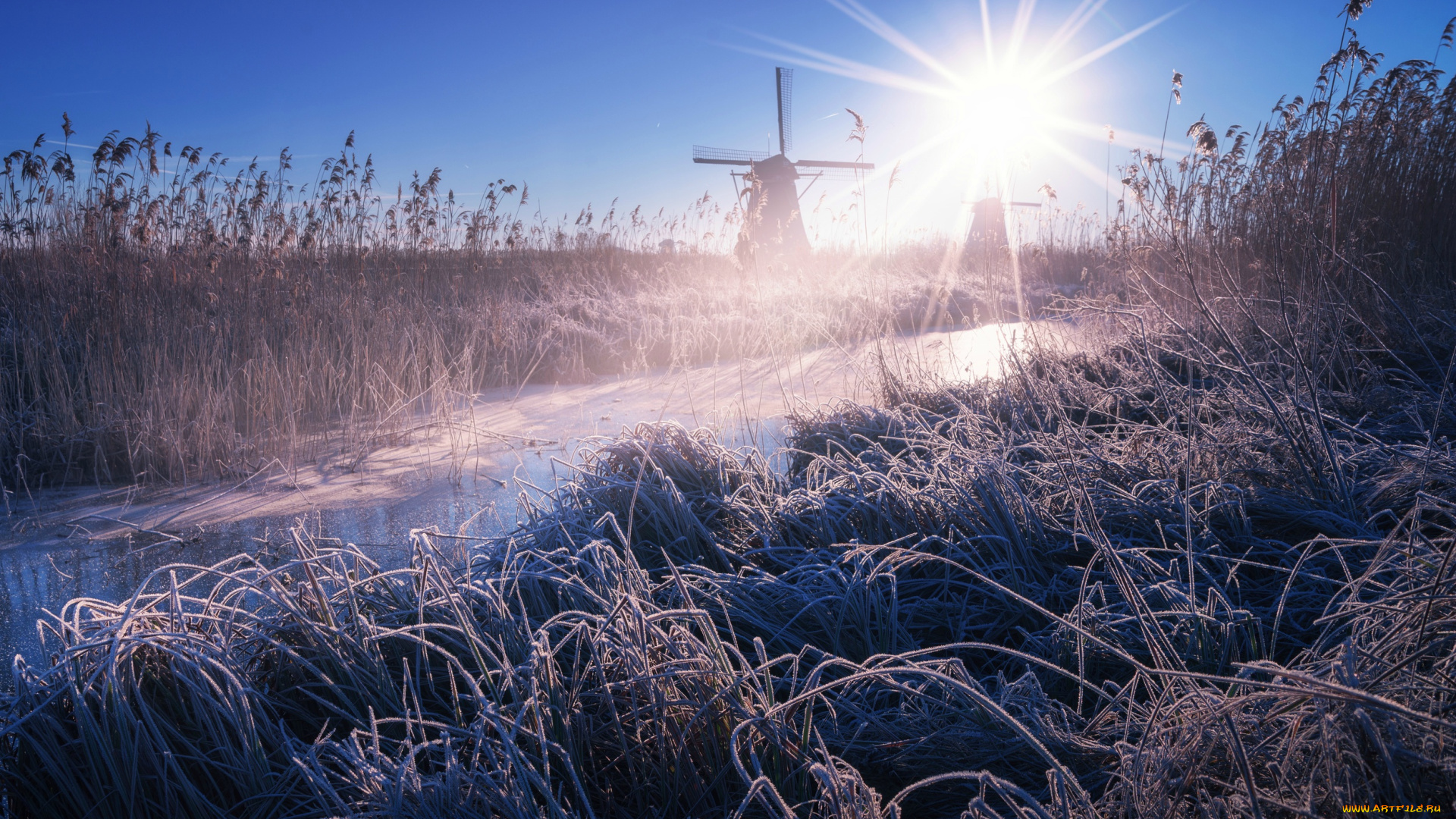 разное, мельницы, мельница, туман