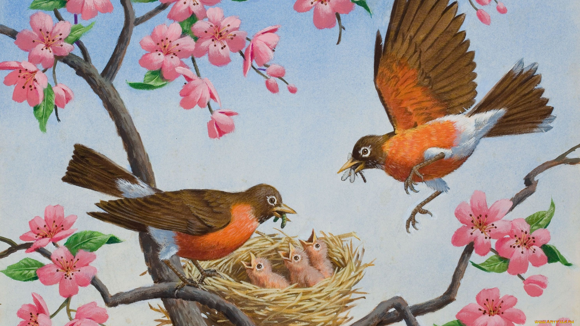 рисованное, животные, , птицы, фрагмент, arthur, saron, sarnoff, птичка, весна, гнездо, арт, цветы