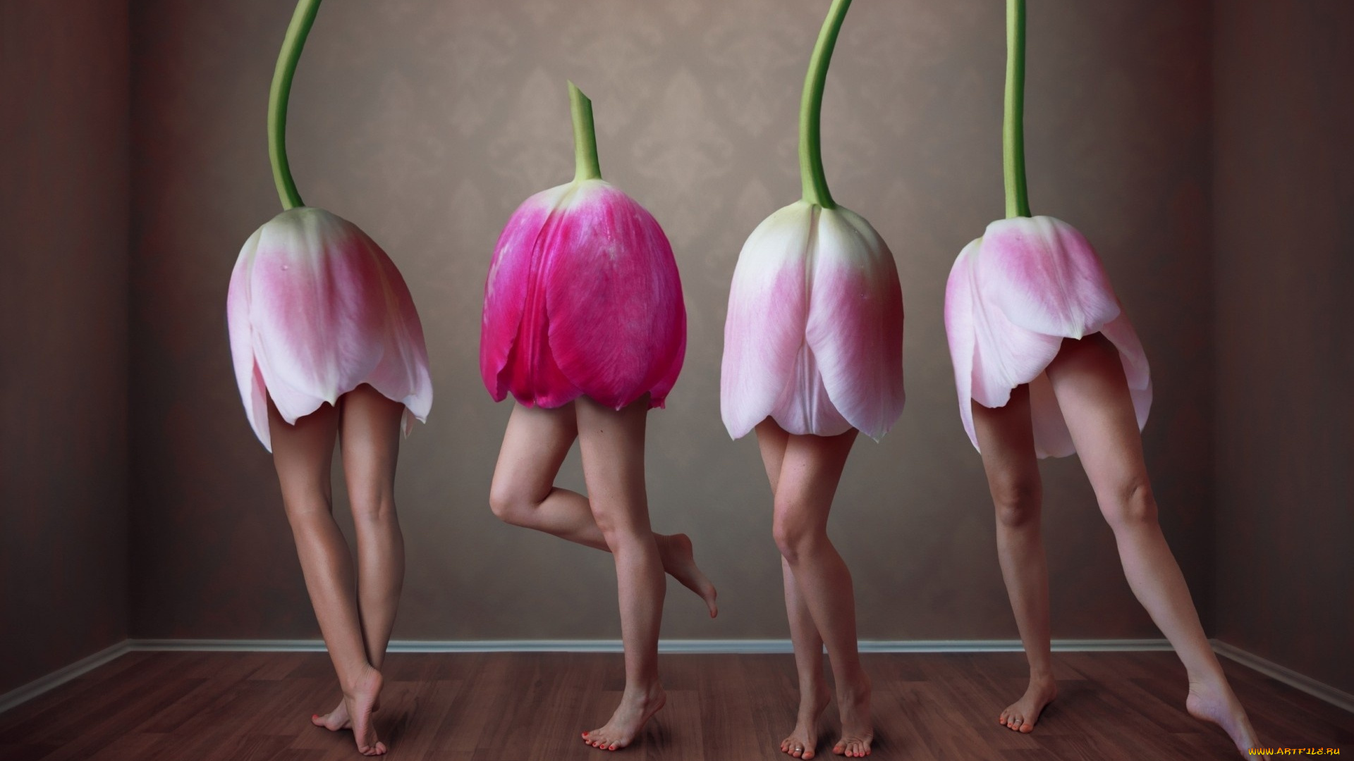 юмор, и, приколы, тюльпаны, цветы, ножки, танец