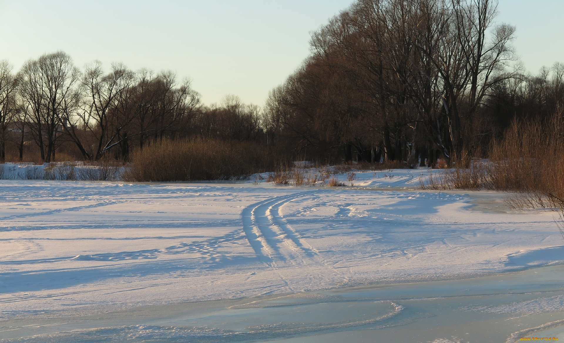 природа, зима, деревья, снег