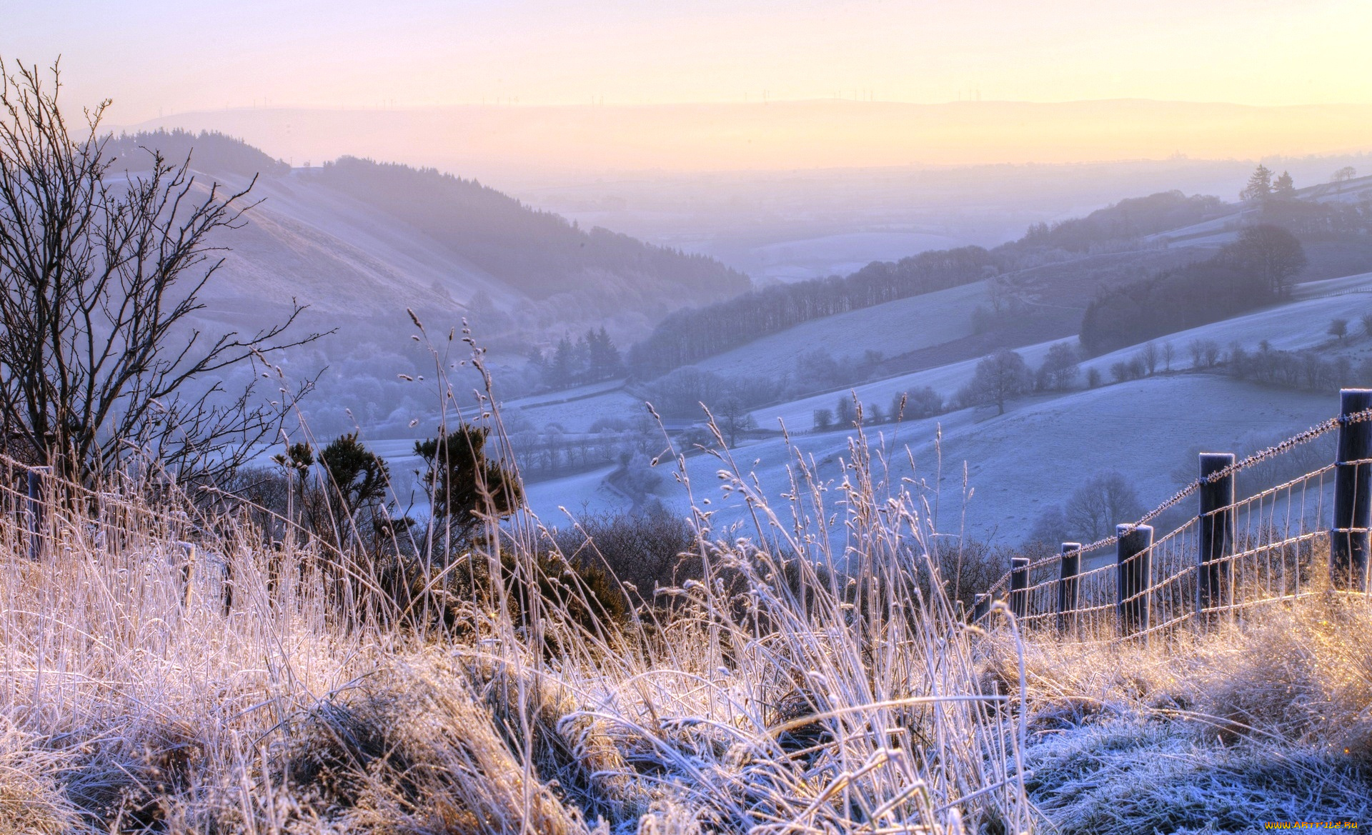 природа, горы, рощи, поля, снег, иней, трава, изгородь
