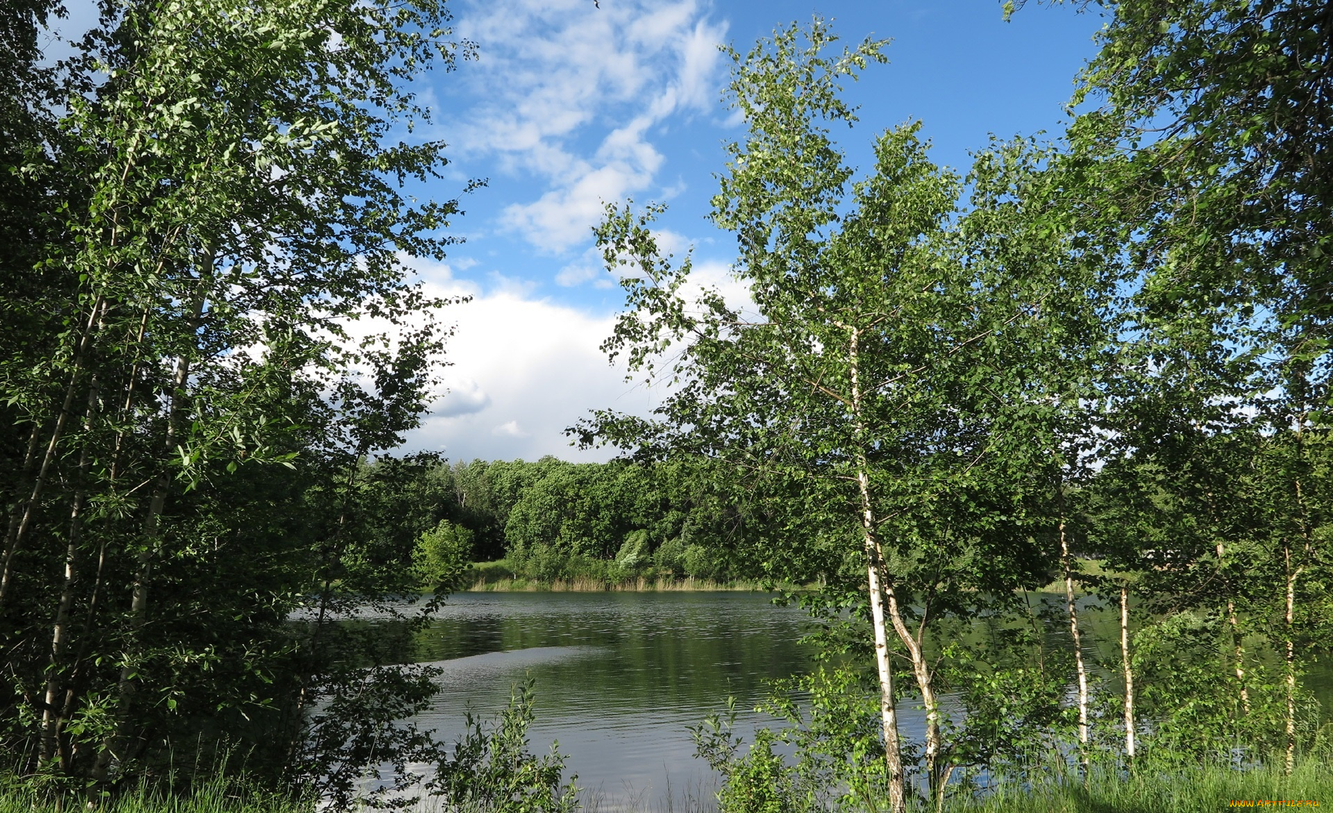 природа, реки, озера, лес, река