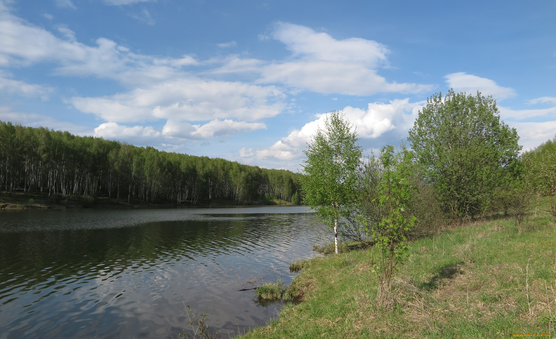 природа, реки, озера, река, лес