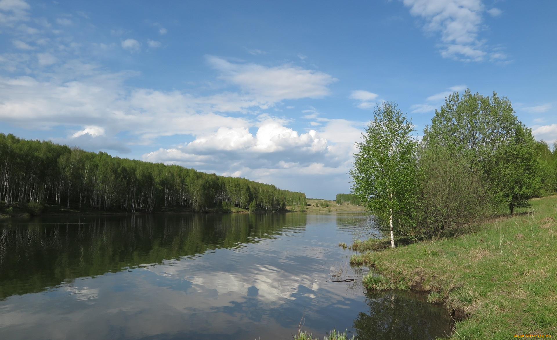 природа, реки, озера, река, лес