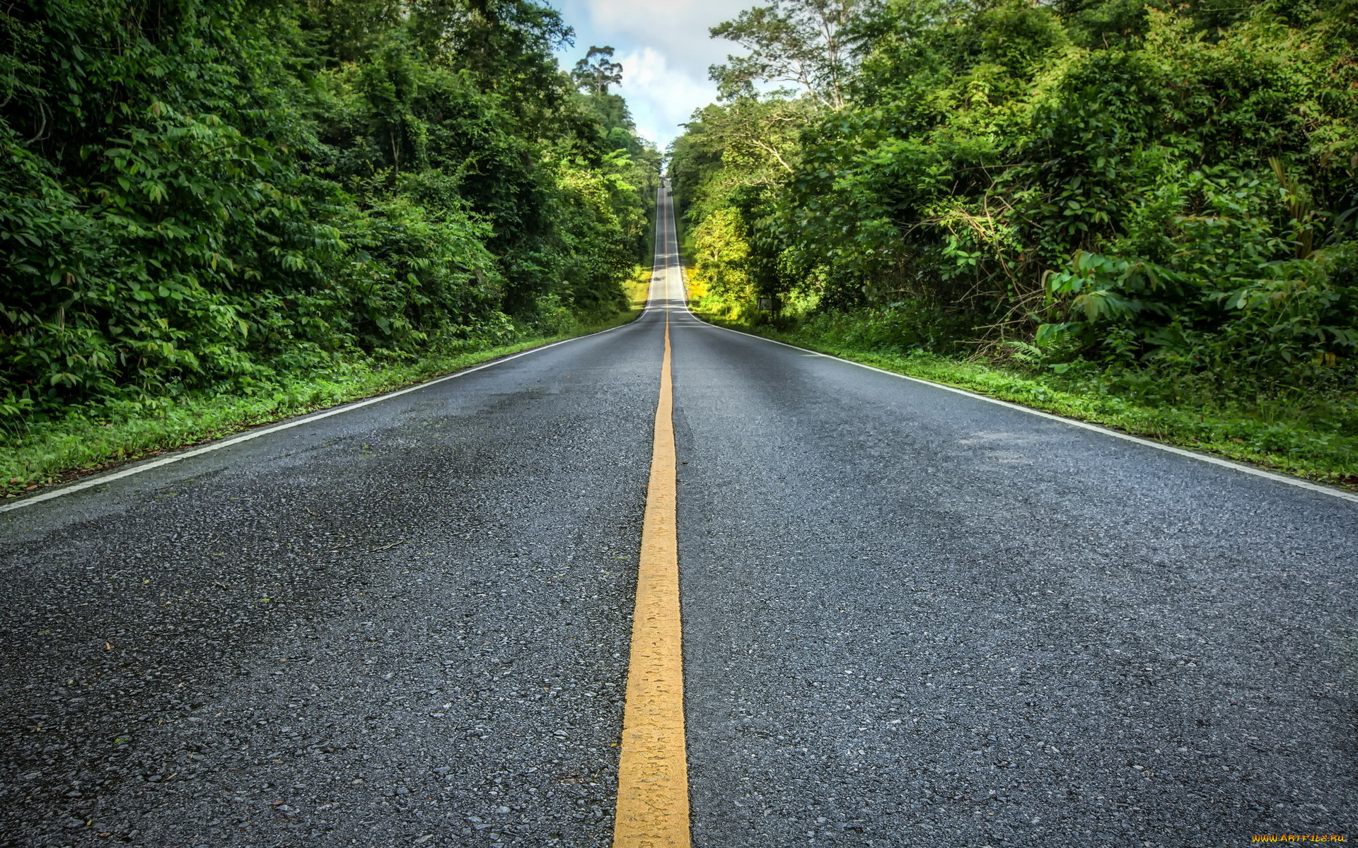 природа, дороги, пейзаж, деревья, дорога