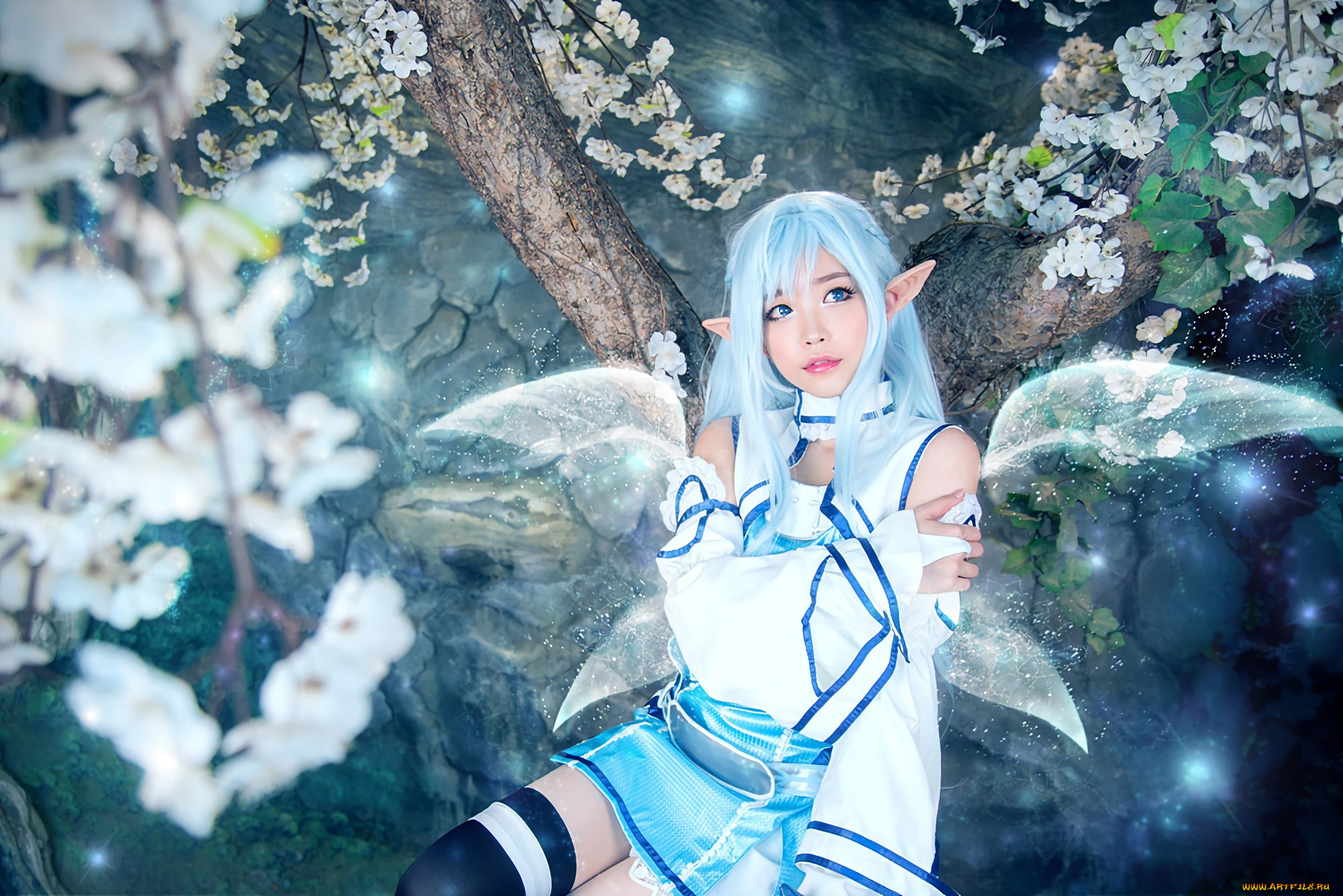 разное, cosplay, , косплей, sao