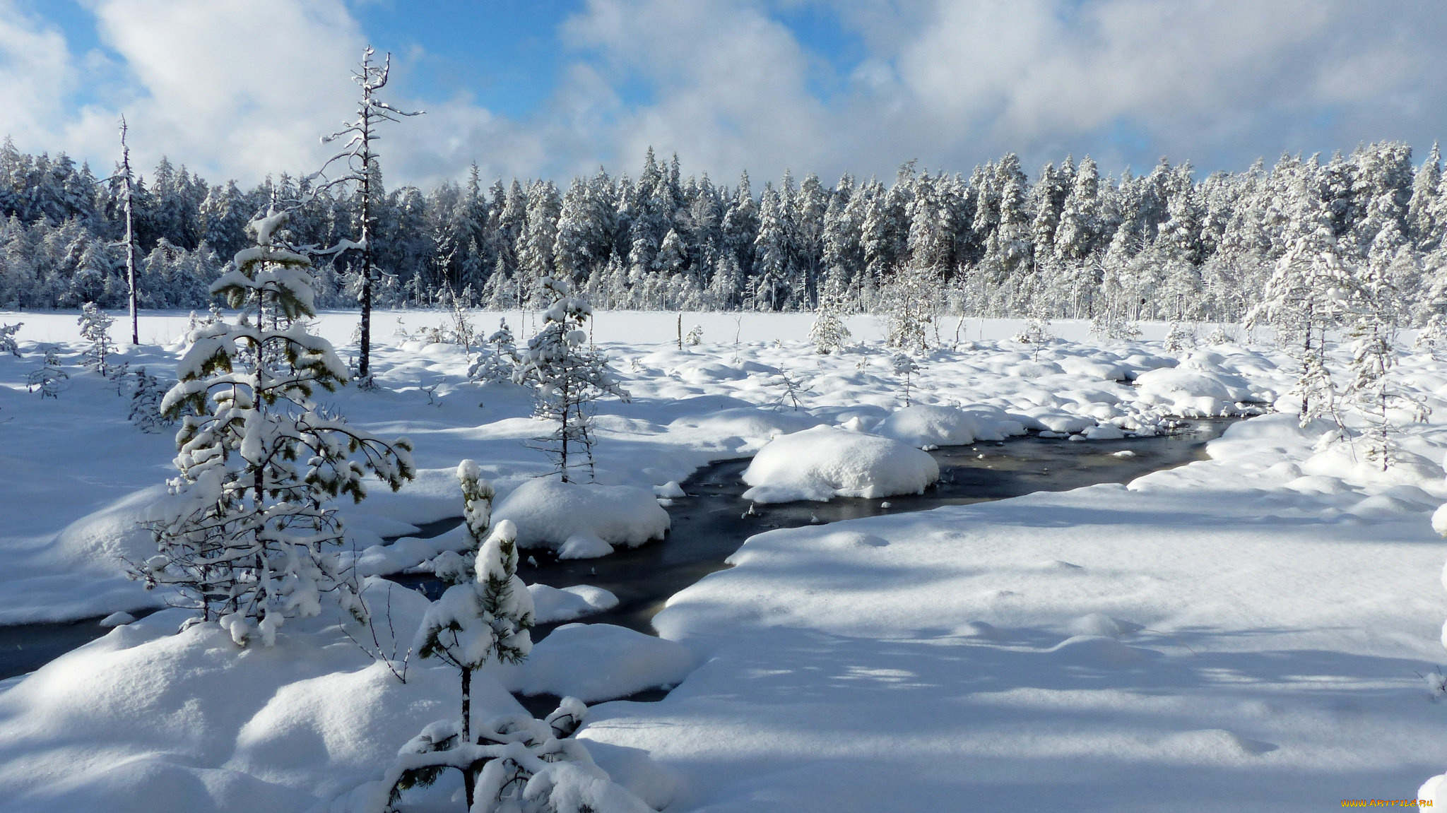 природа, зима, снег