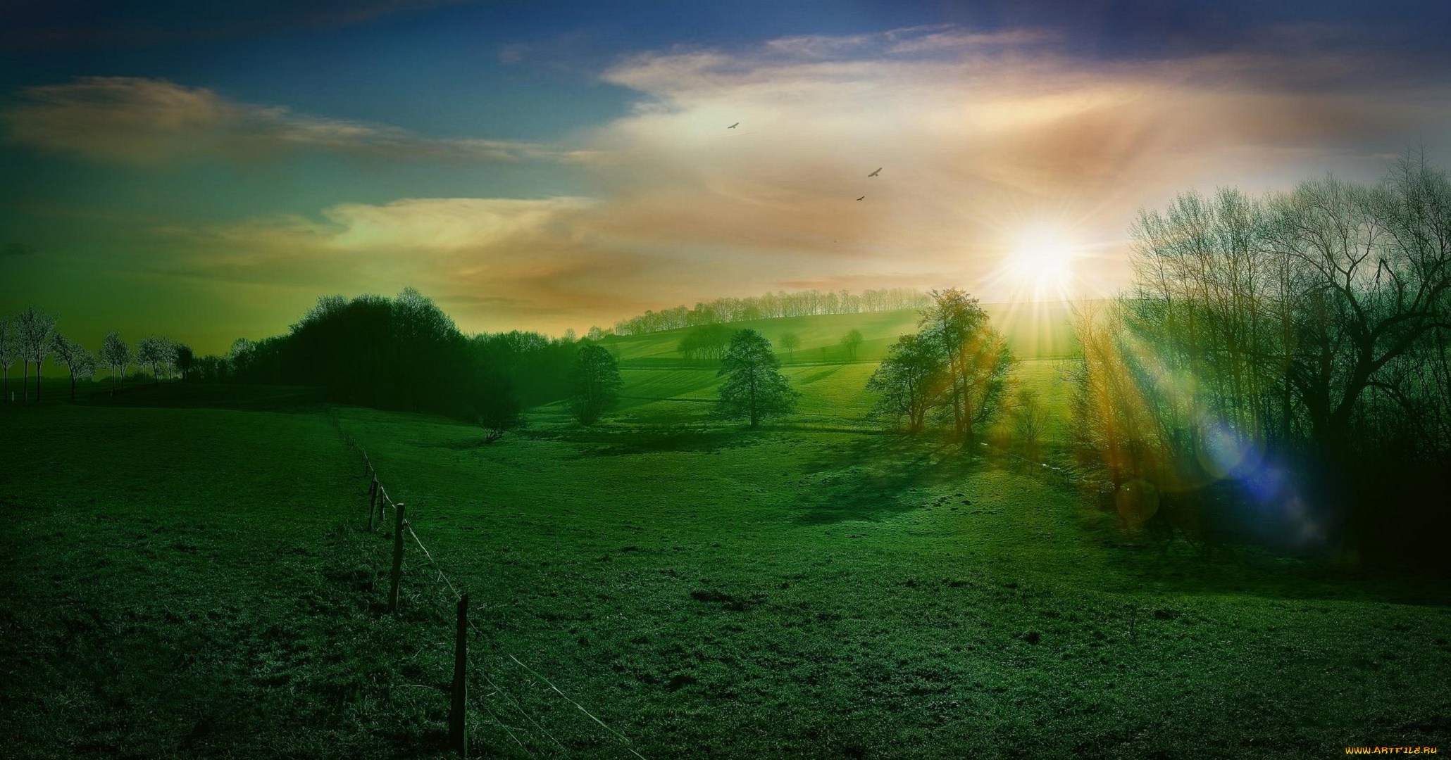 природа, поля, деревья, холмы, поле, закат, пейзаж