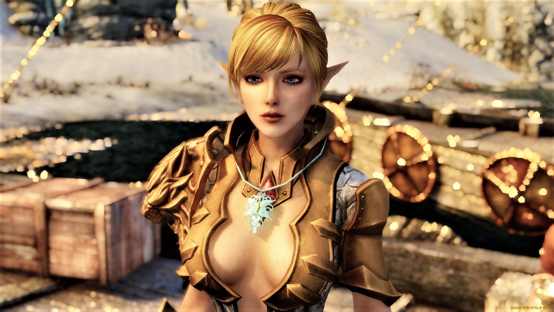 видео, игры, the, elder, scrolls, v, , skyrim, компаньонки, skyrim, девушки, игры, эльфийка