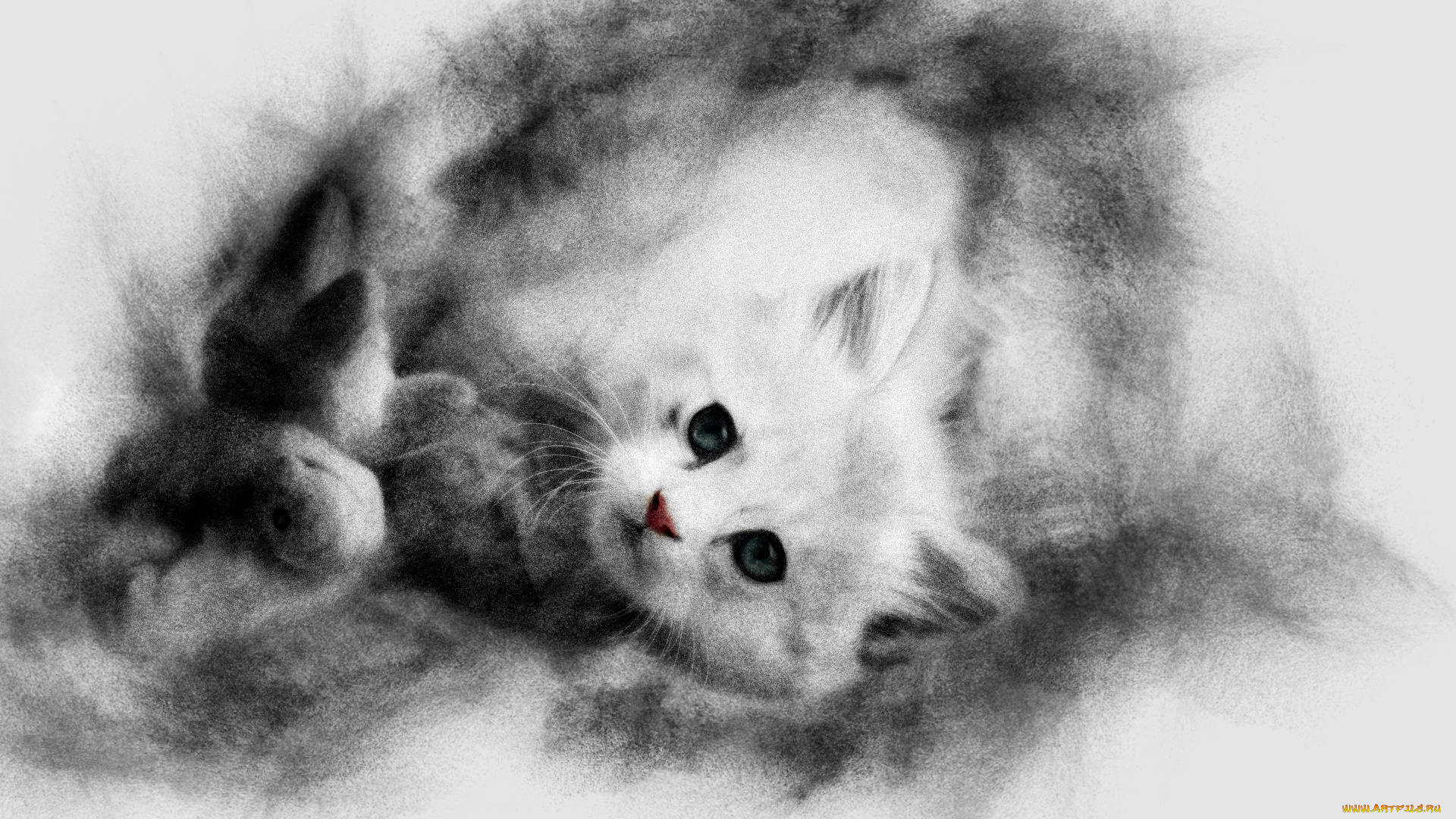 календари, компьютерный, дизайн, кошка, животное