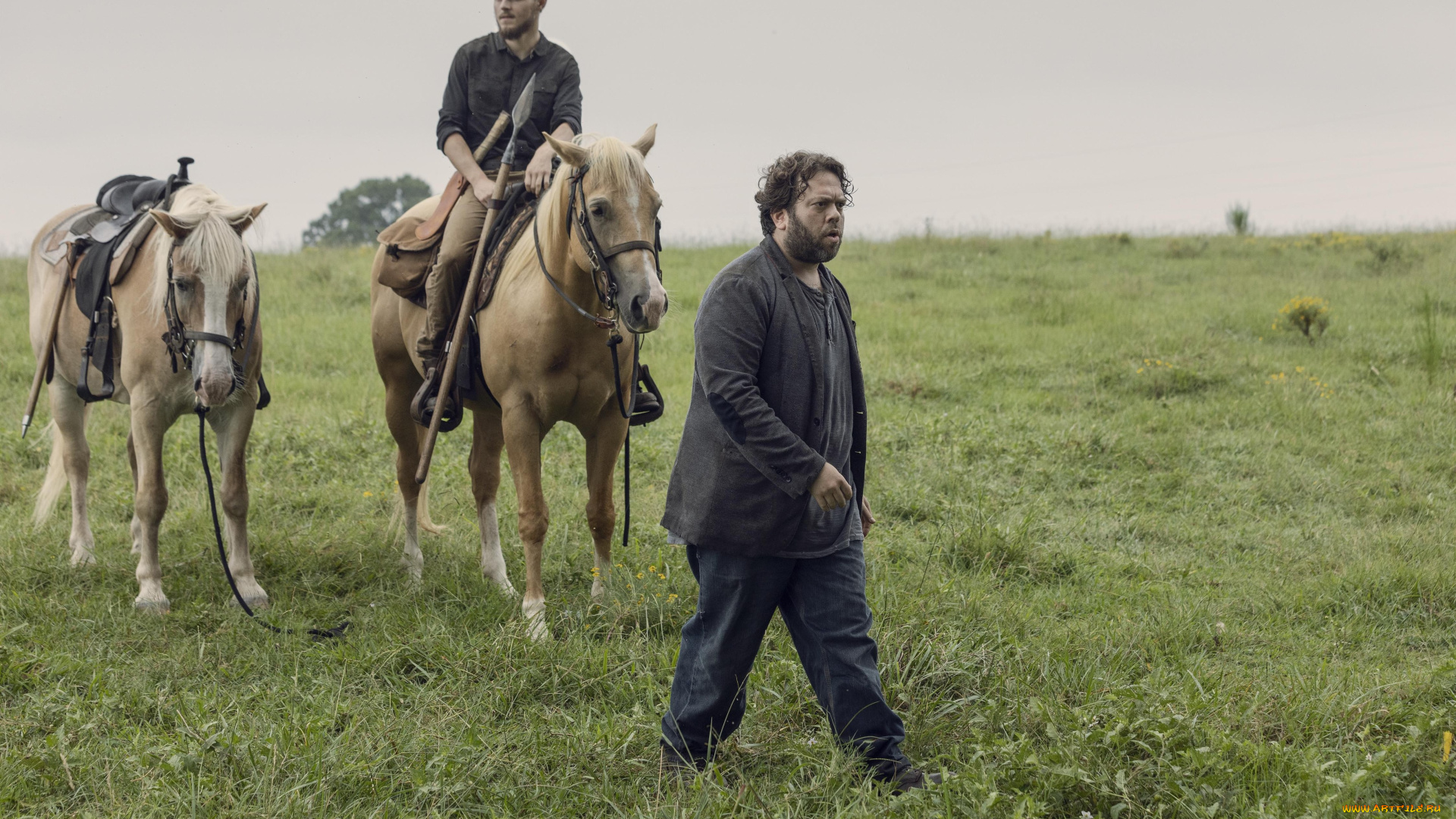 кино, фильмы, the, walking, dead, the, walking, dead