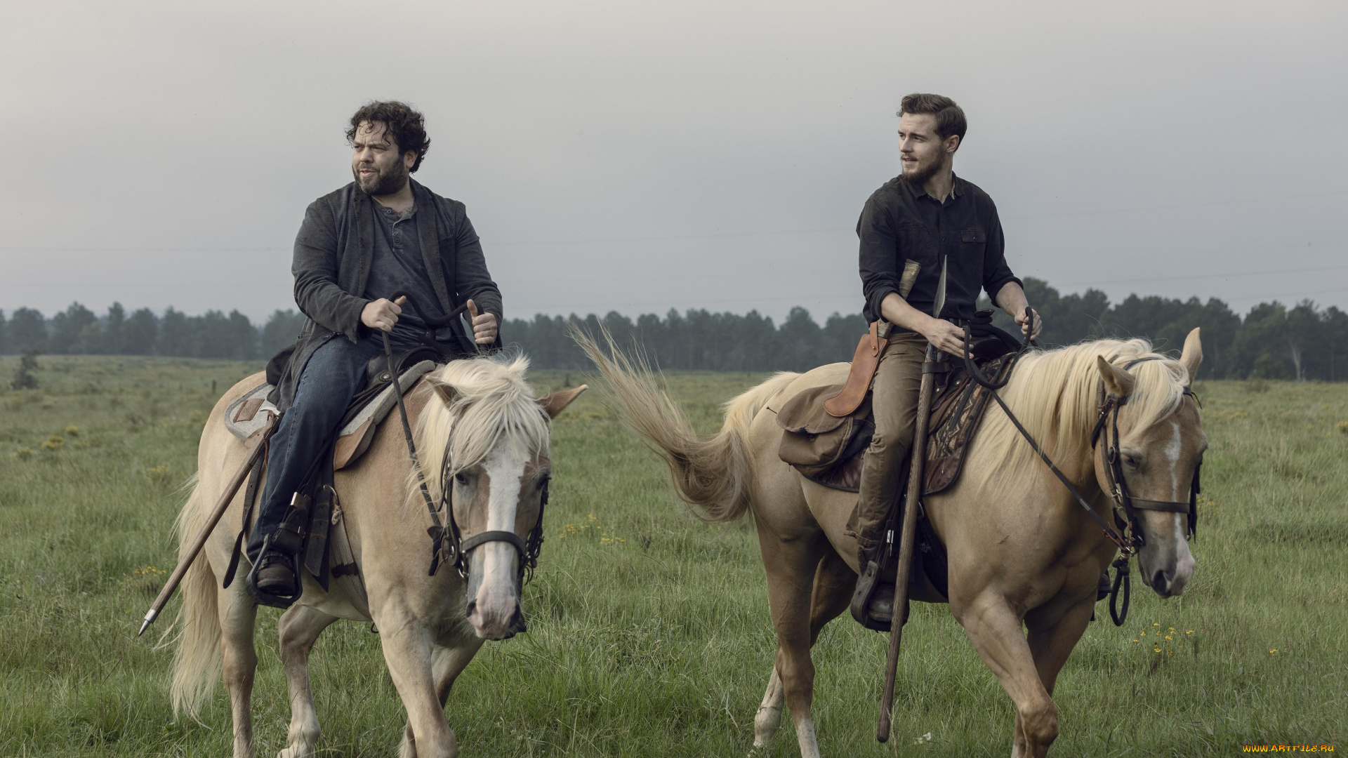 кино, фильмы, the, walking, dead, the, walking, dead